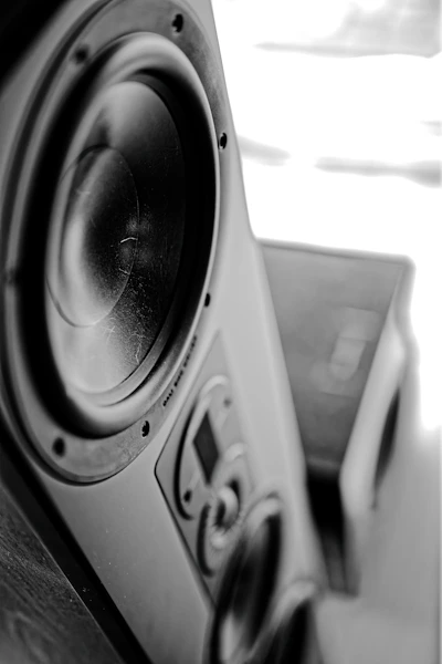 Close-up of a black speaker with a textured cone.