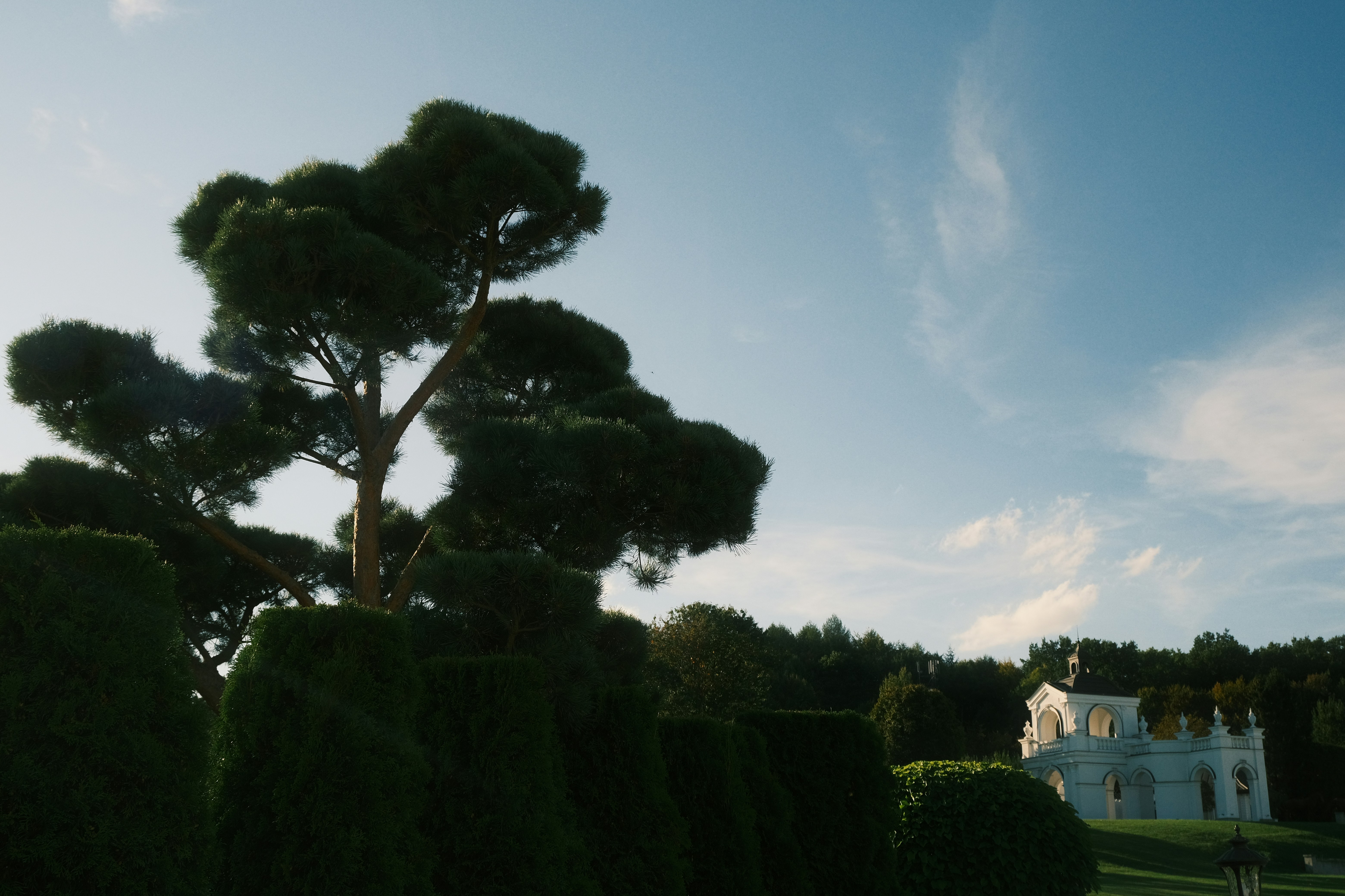 Photo by r_inascimento