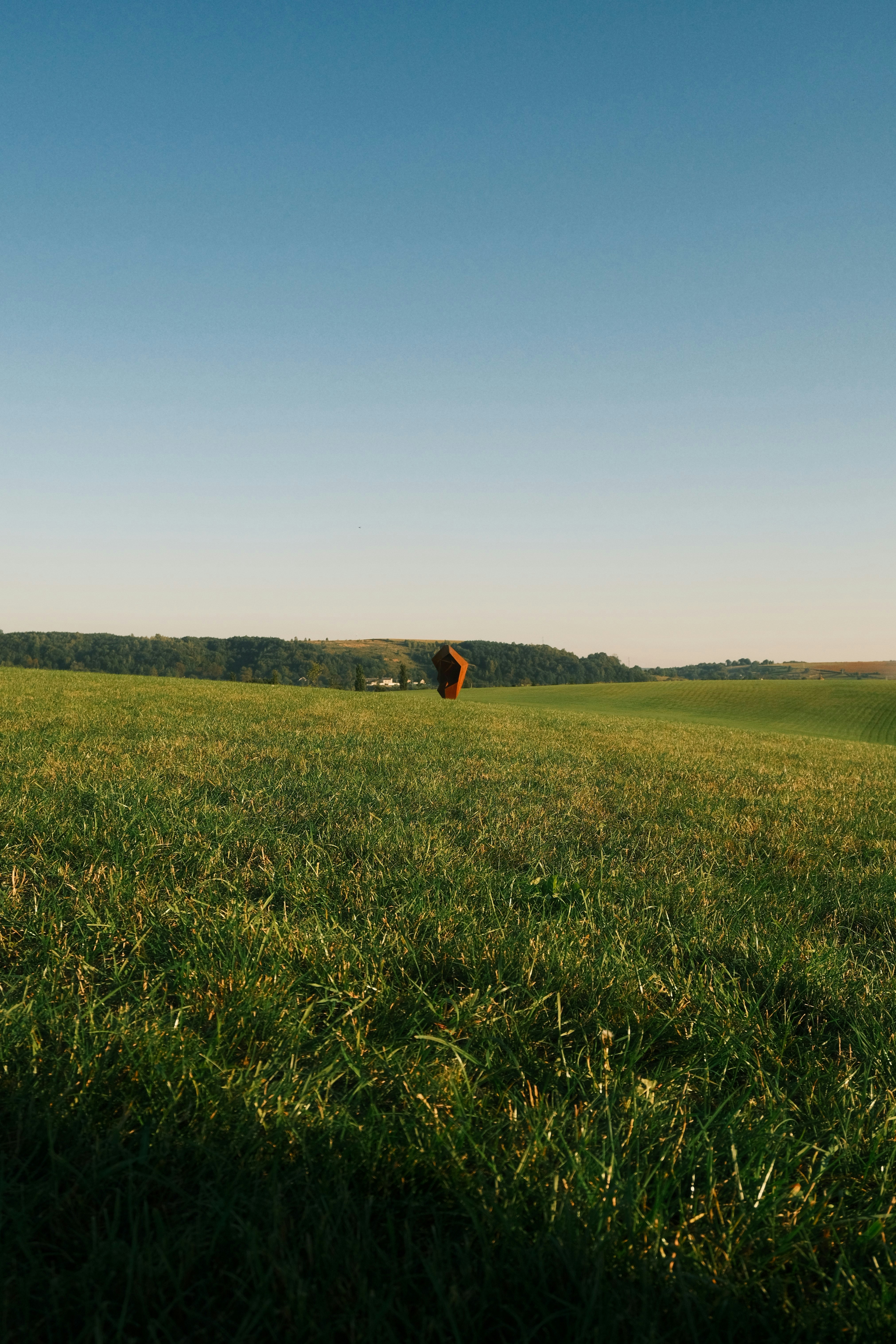 Photo by r_inascimento