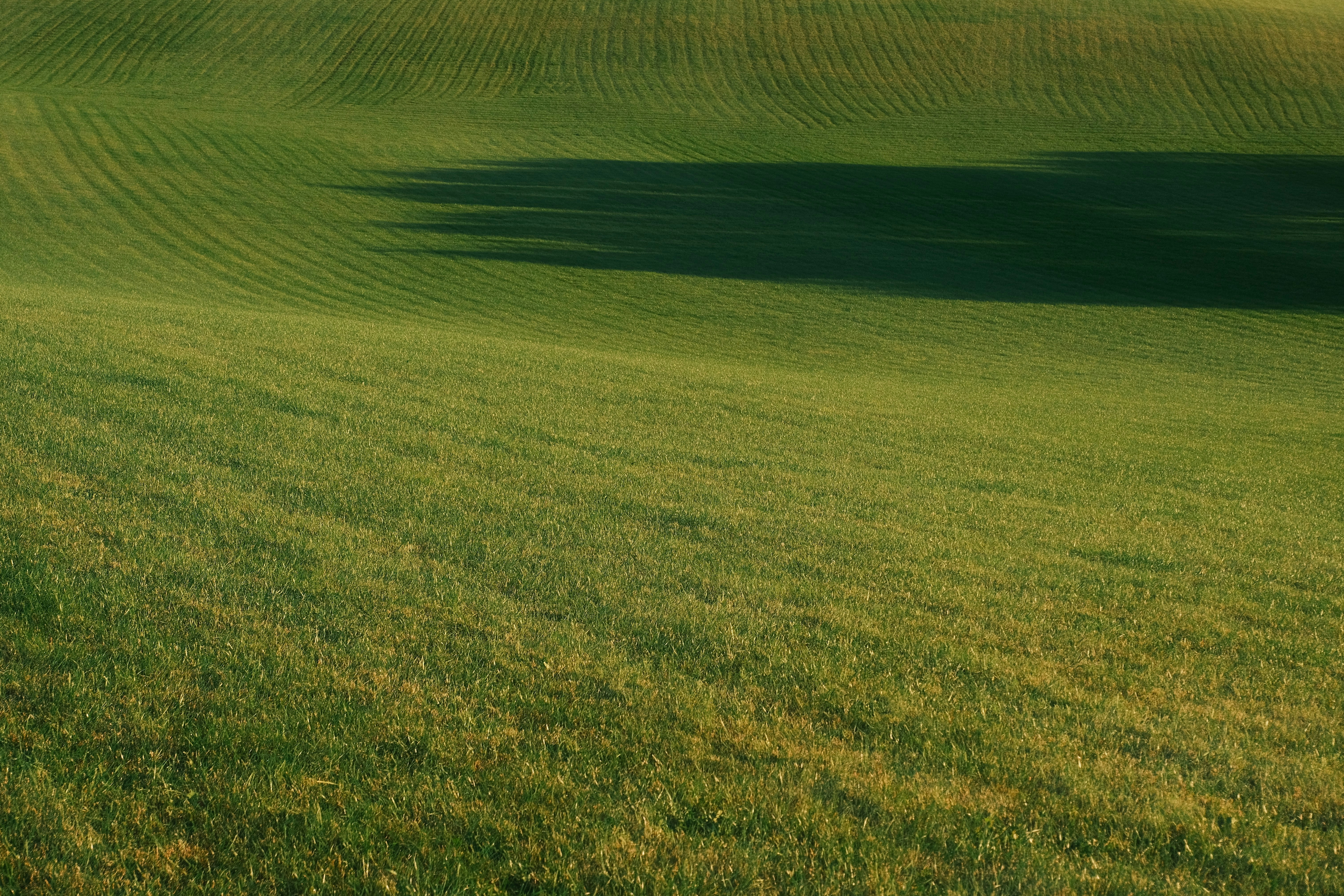 Photo by r_inascimento