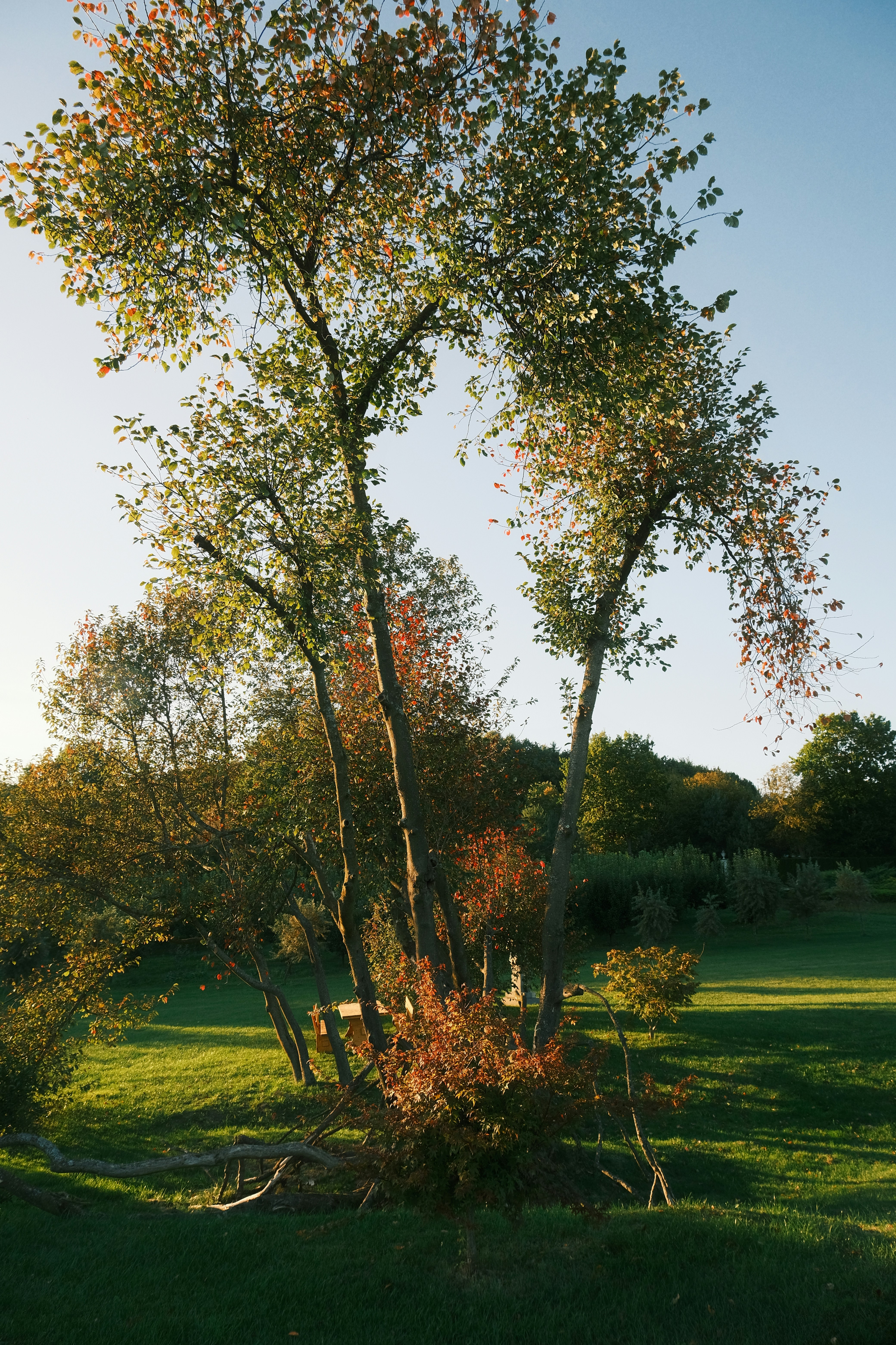 Photo by r_inascimento