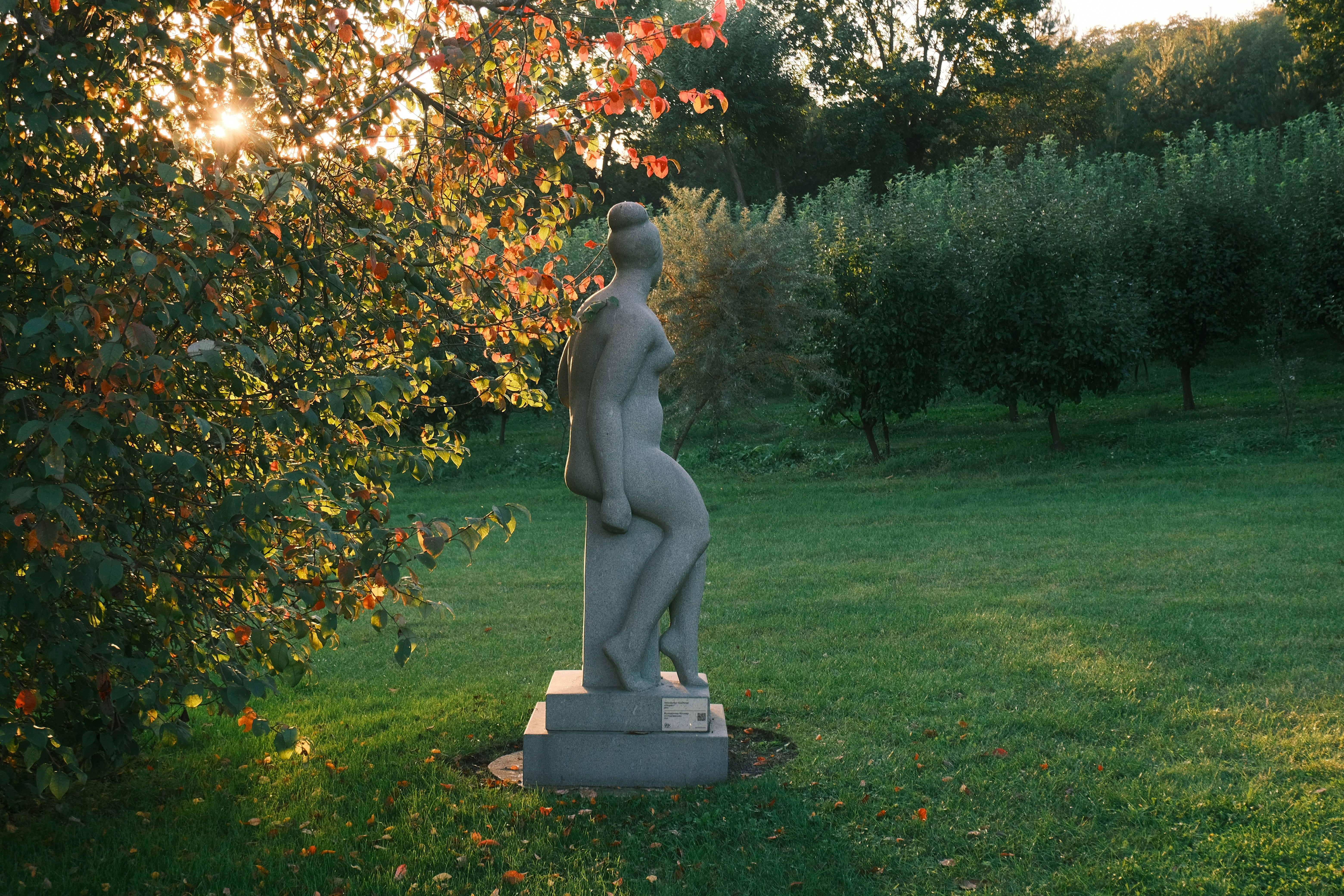 Statue in a garden at sunset