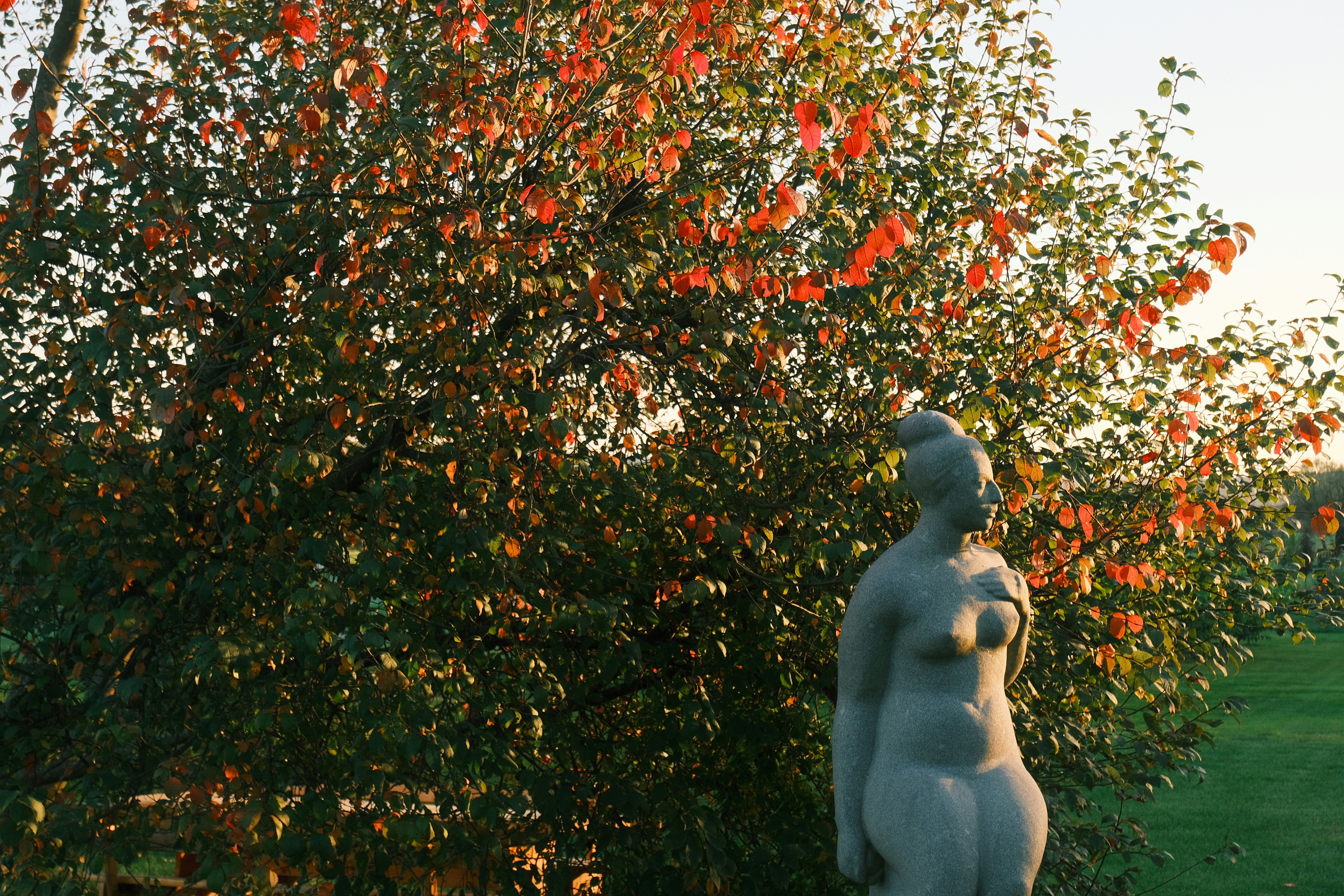 Photo by r_inascimento