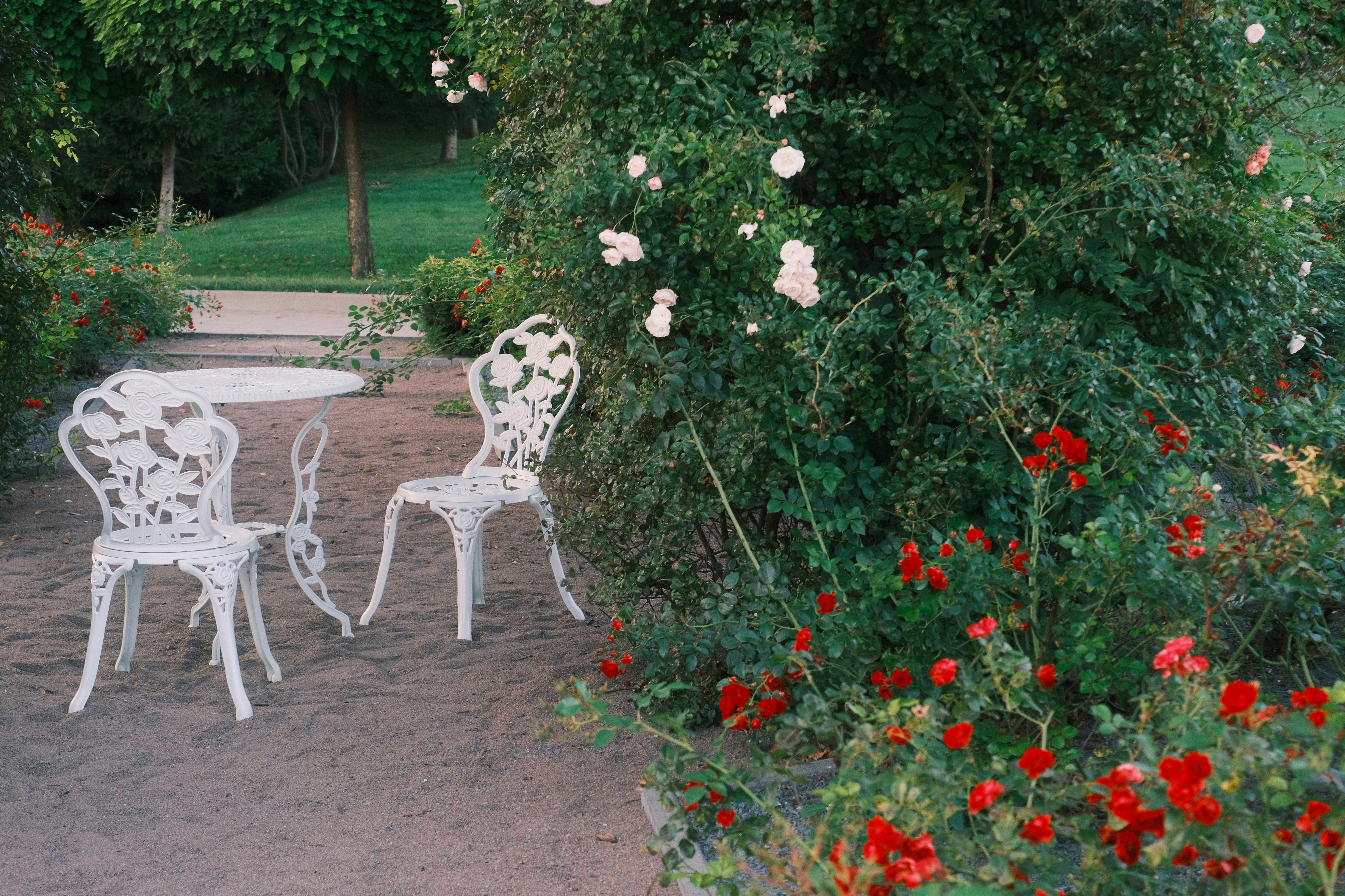 Photo by r_inascimento