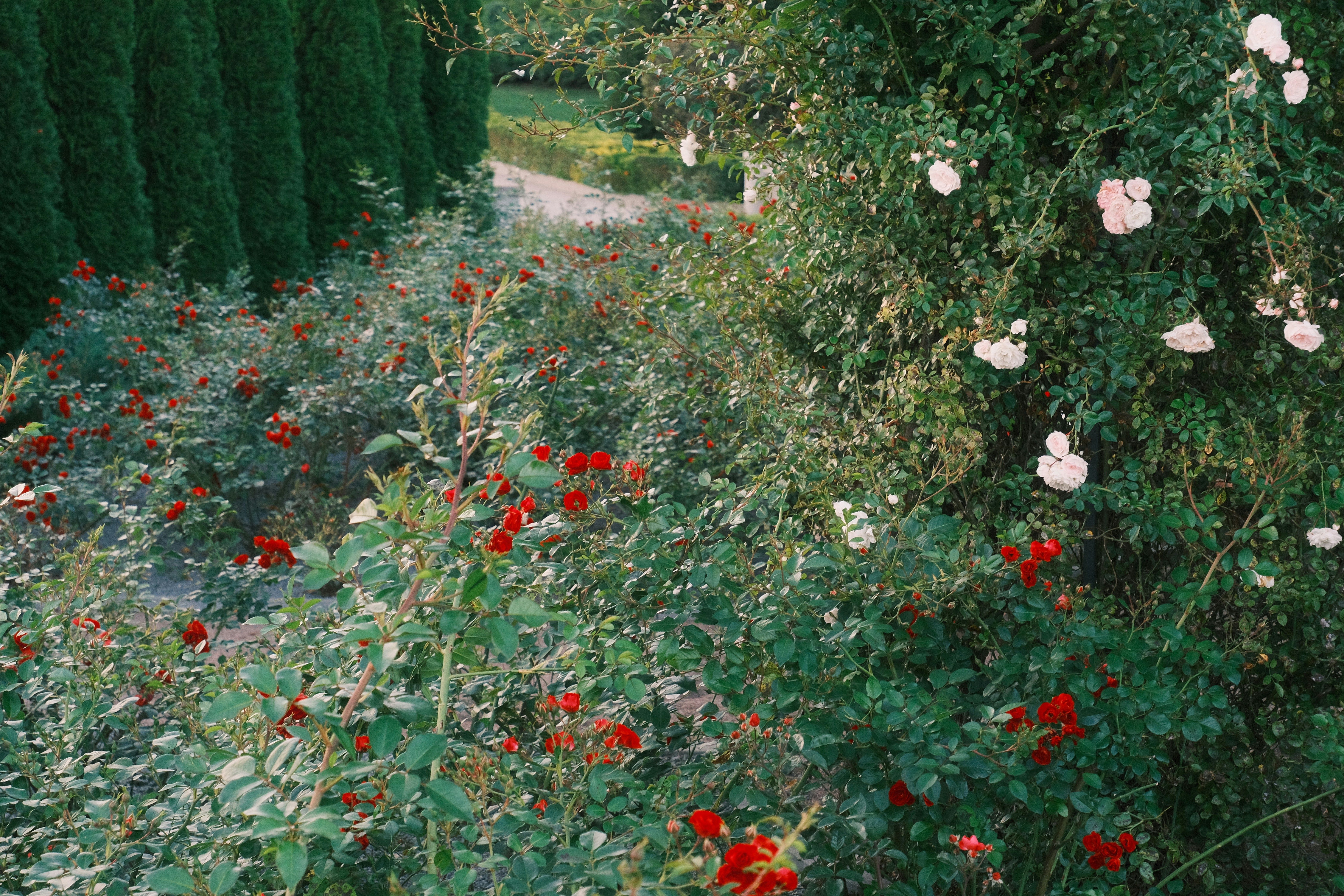 Photo by r_inascimento