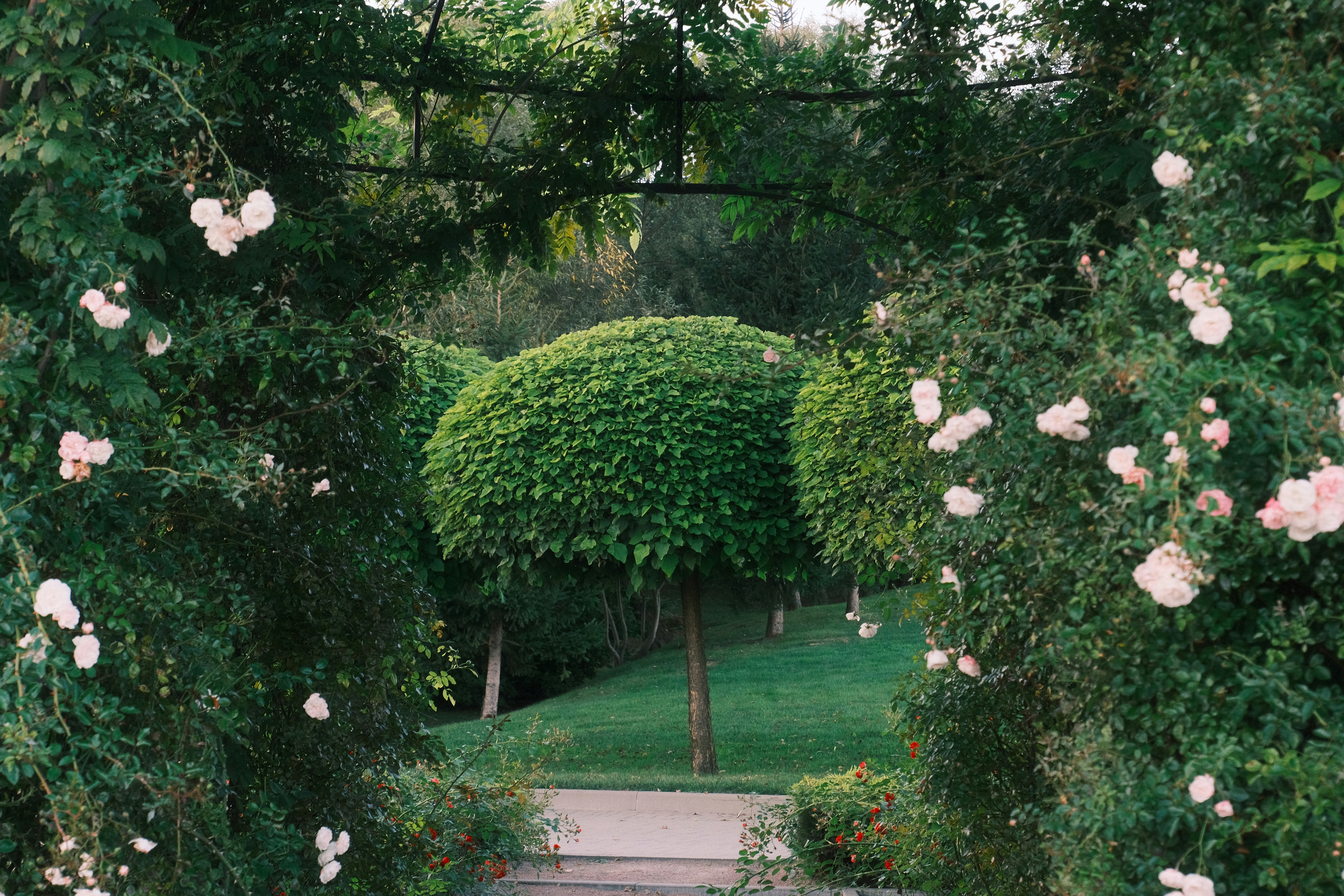 Photo by r_inascimento