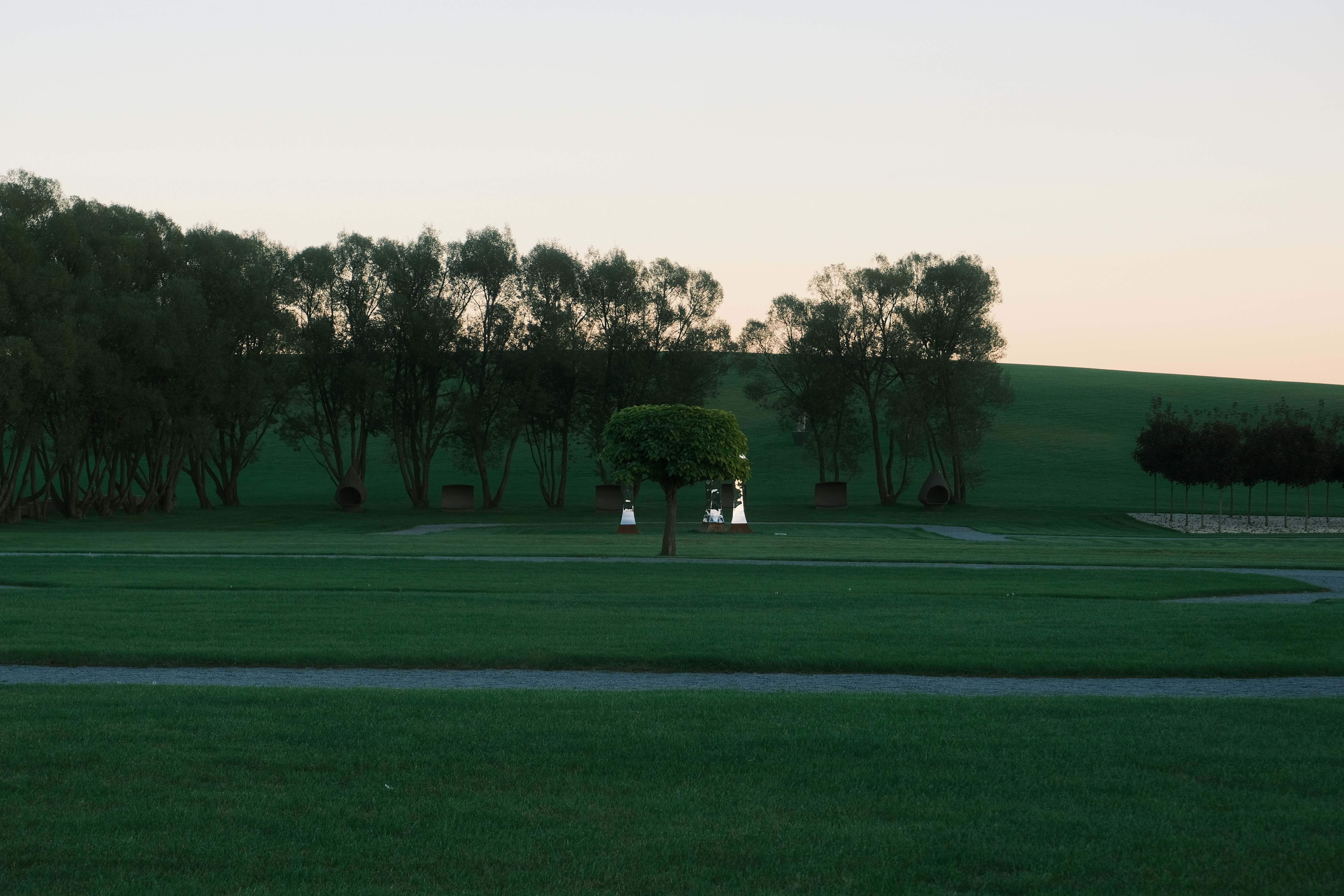 Golf course with trees and green grass at dusk