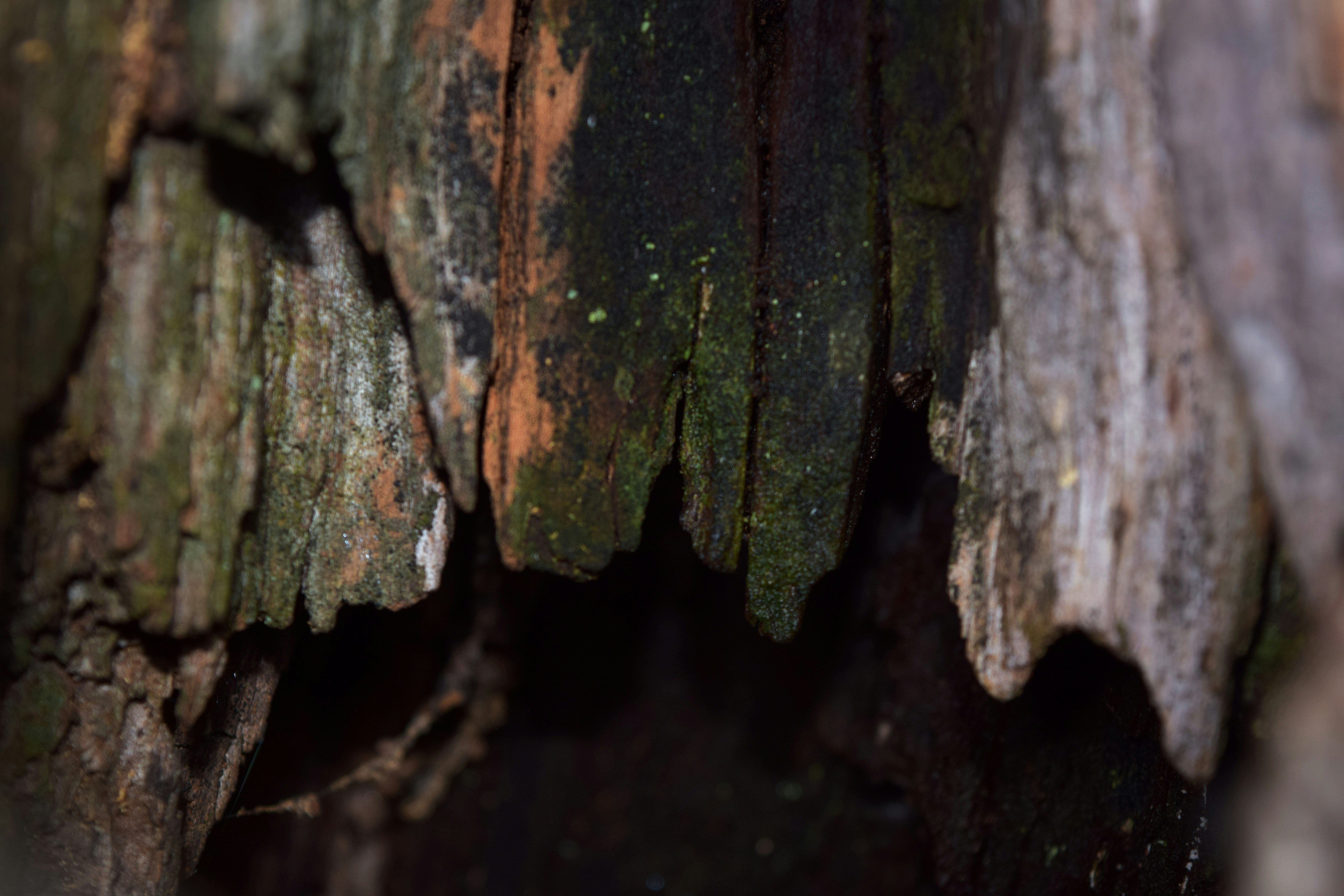 Photo by kristijan_photography