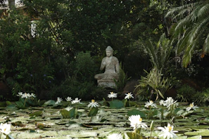 Stone buddha statue in a lush garden with water lilies