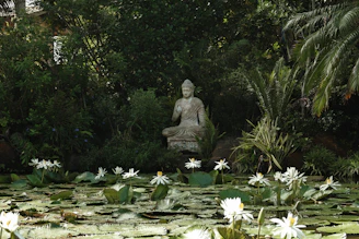 Stone buddha statue in a lush garden with water lilies
