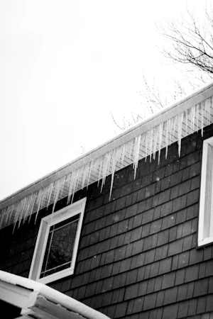 Winter storms