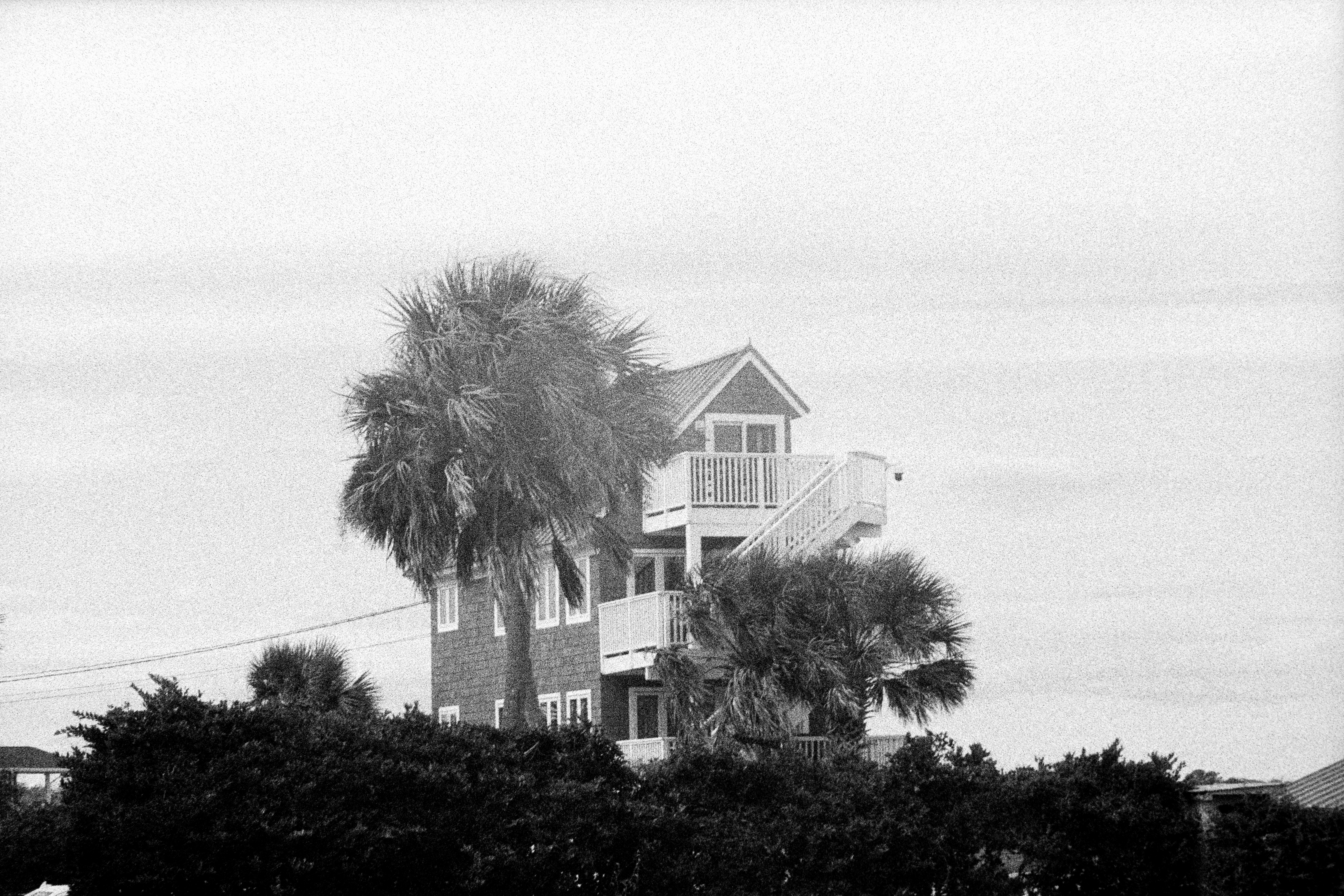 Coastal home surrounded by palm trees in stormy weather