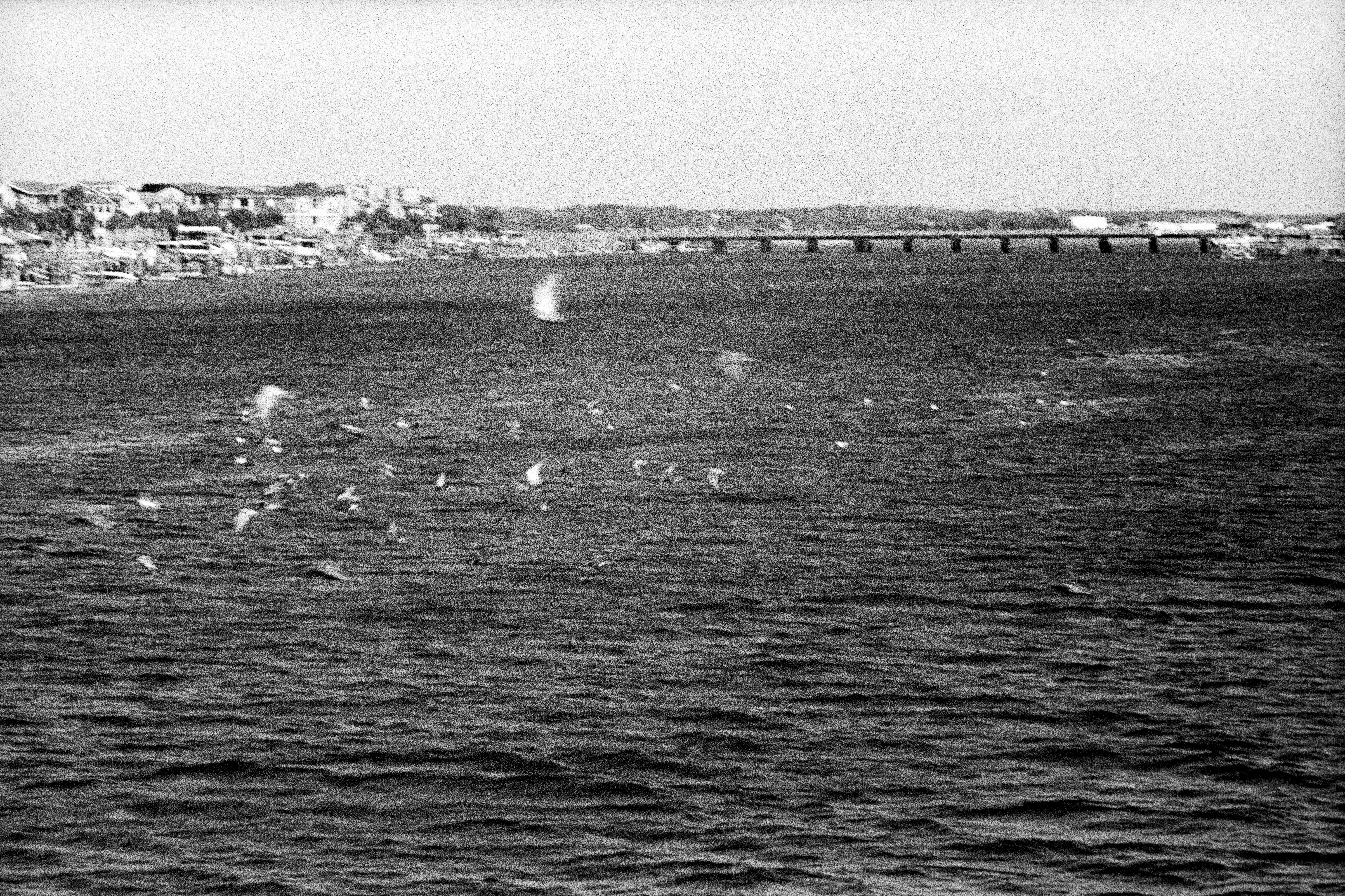 Photo by brookebalentine