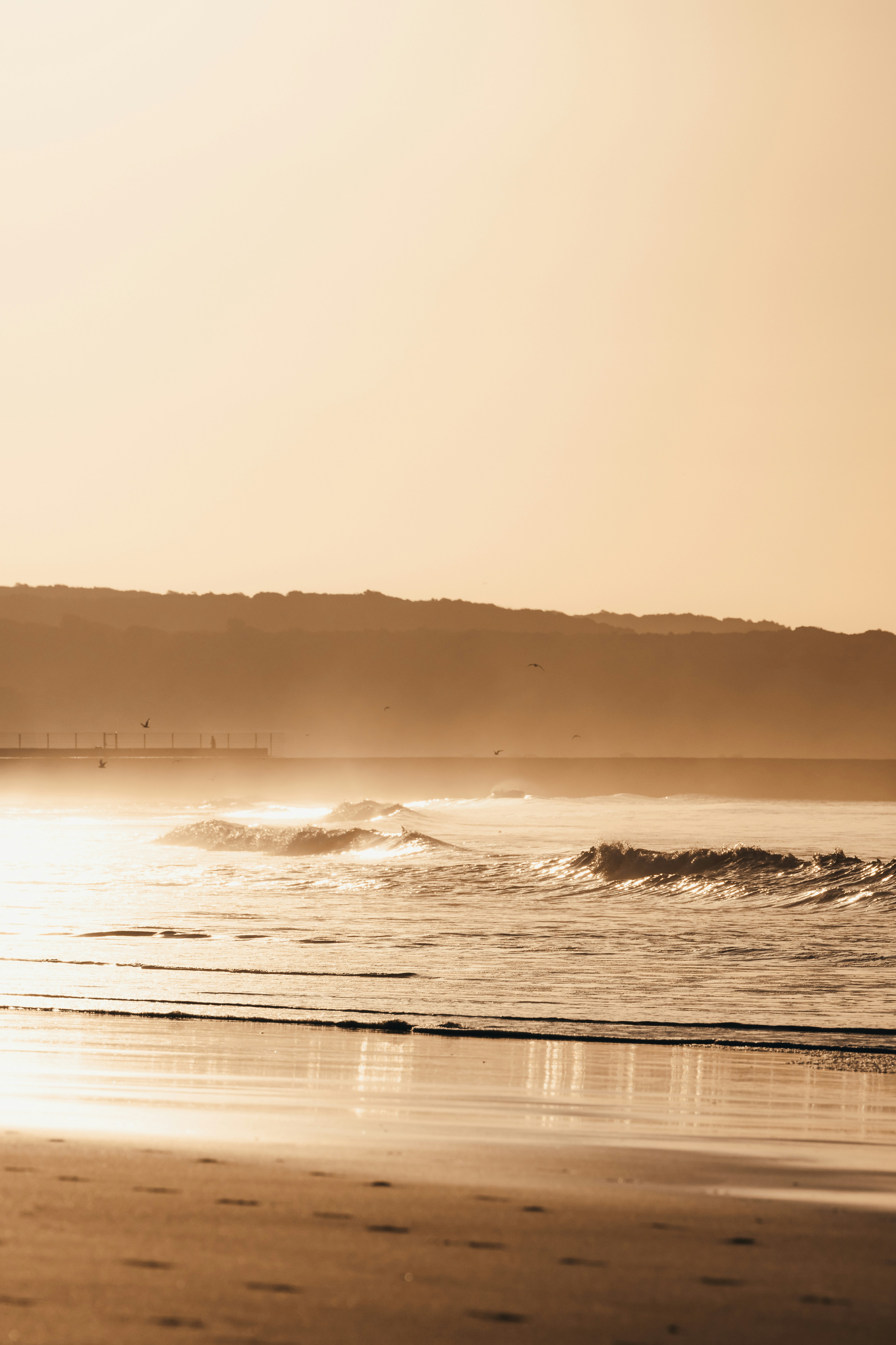 Photo by ssarasframes