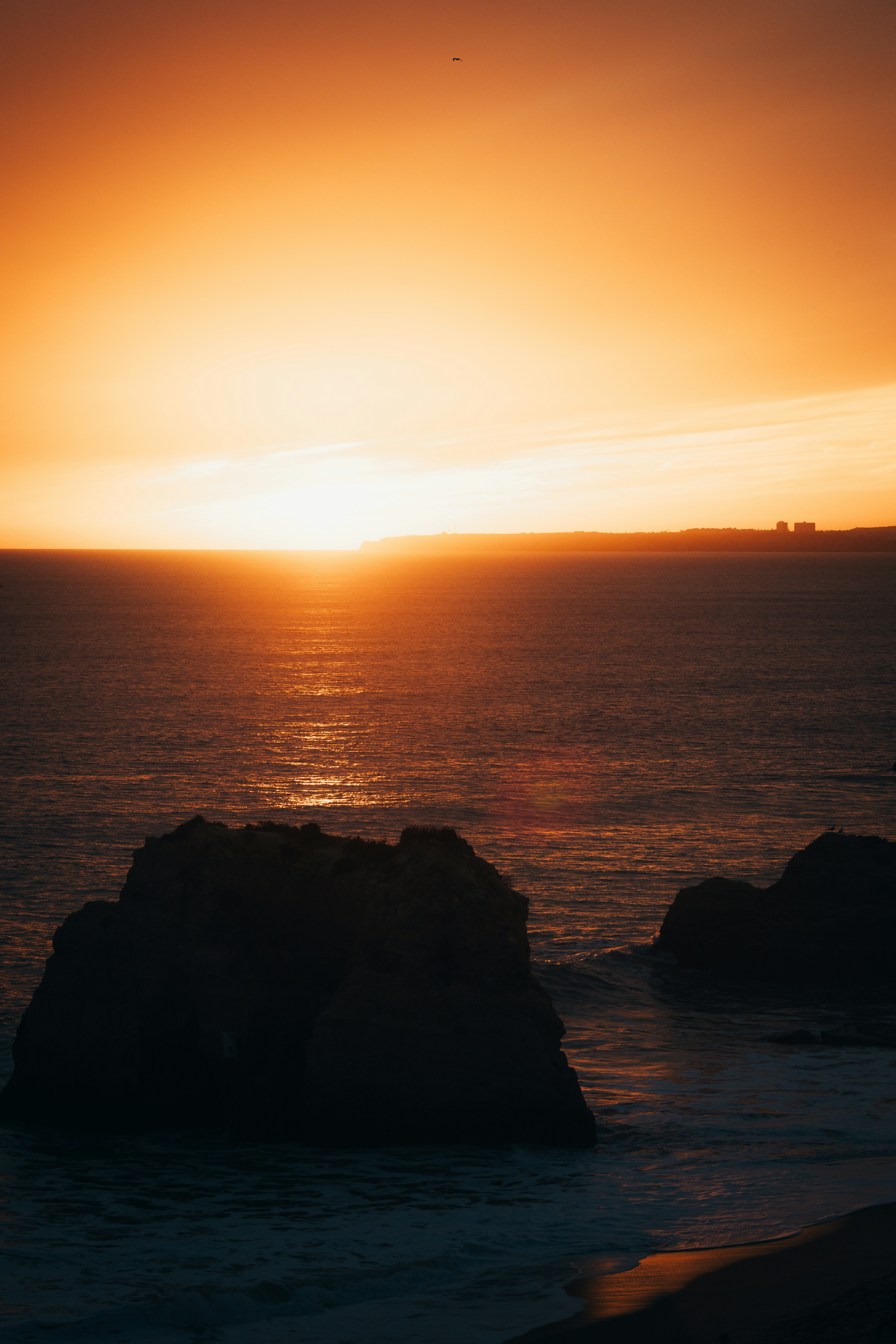 Photo by ssarasframes