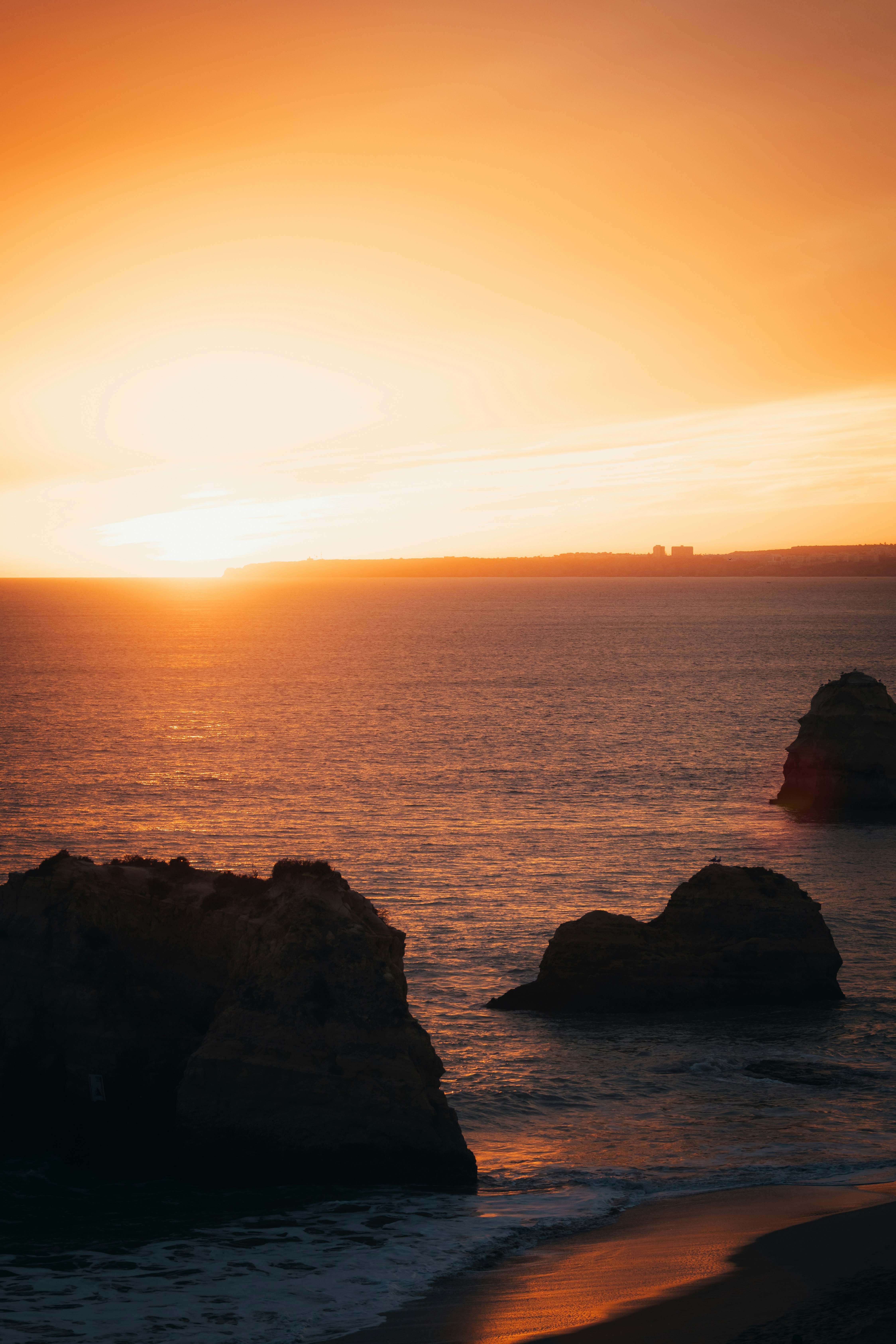 Photo by ssarasframes