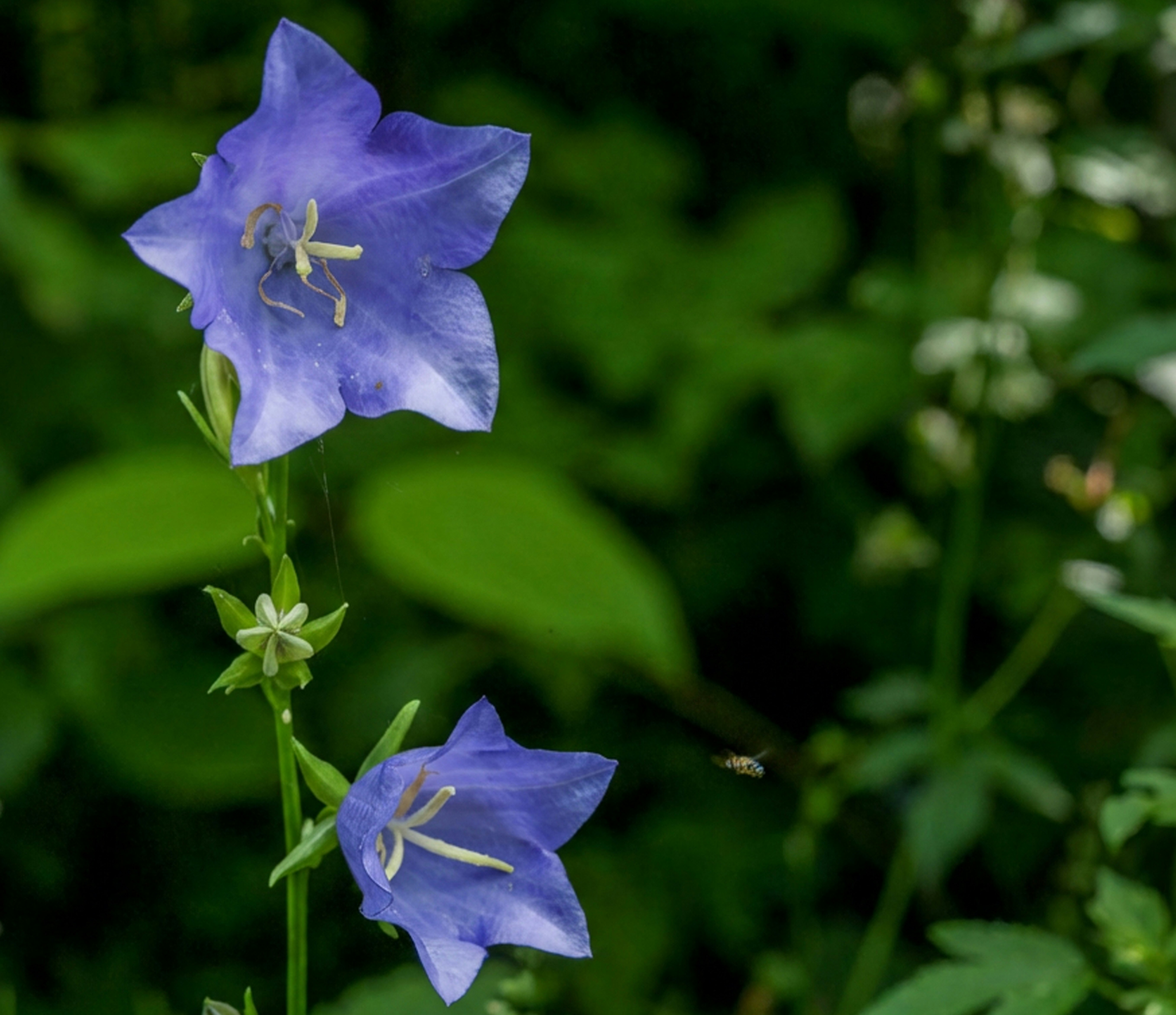 Photo by camerauthor