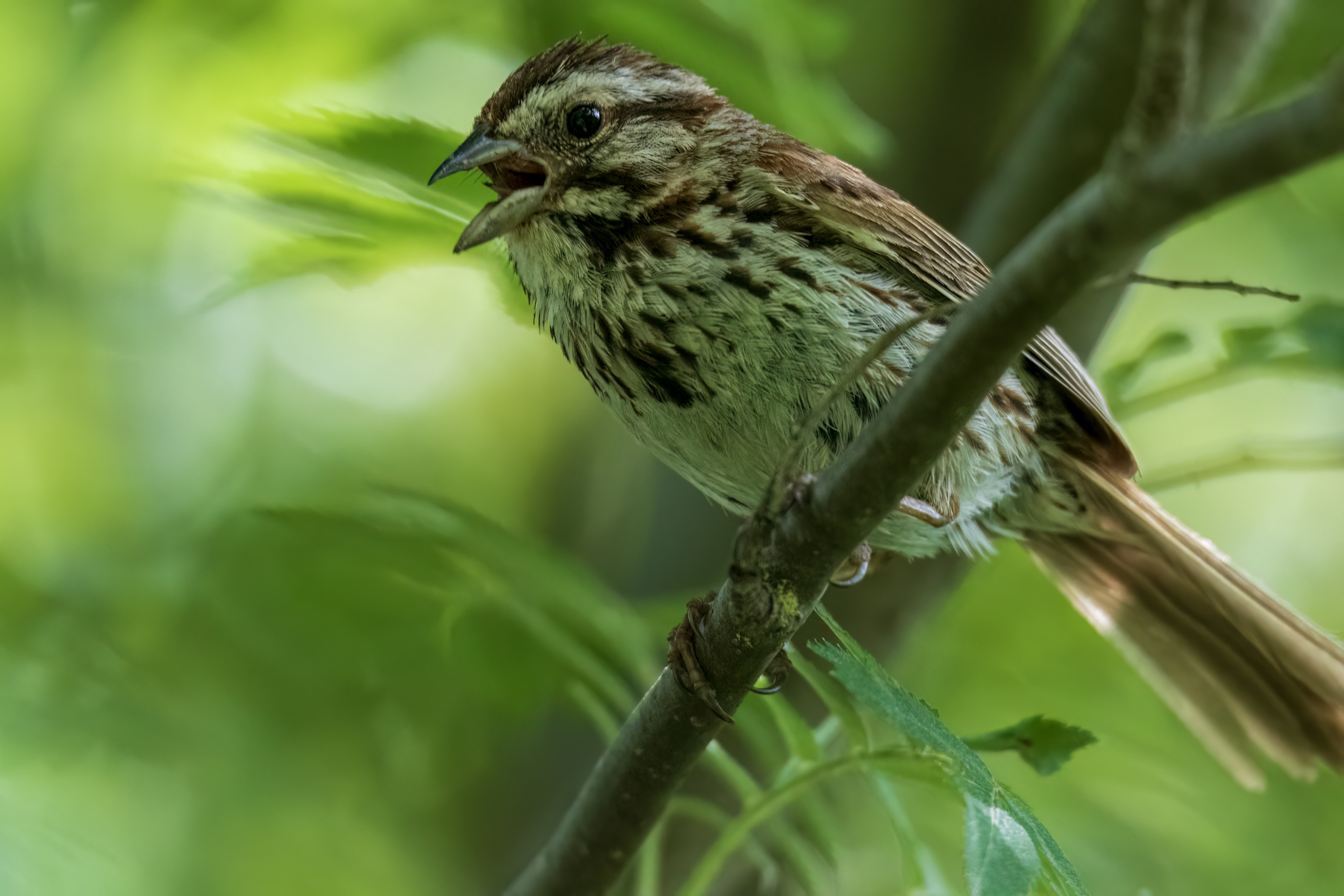 Photo by camerauthor