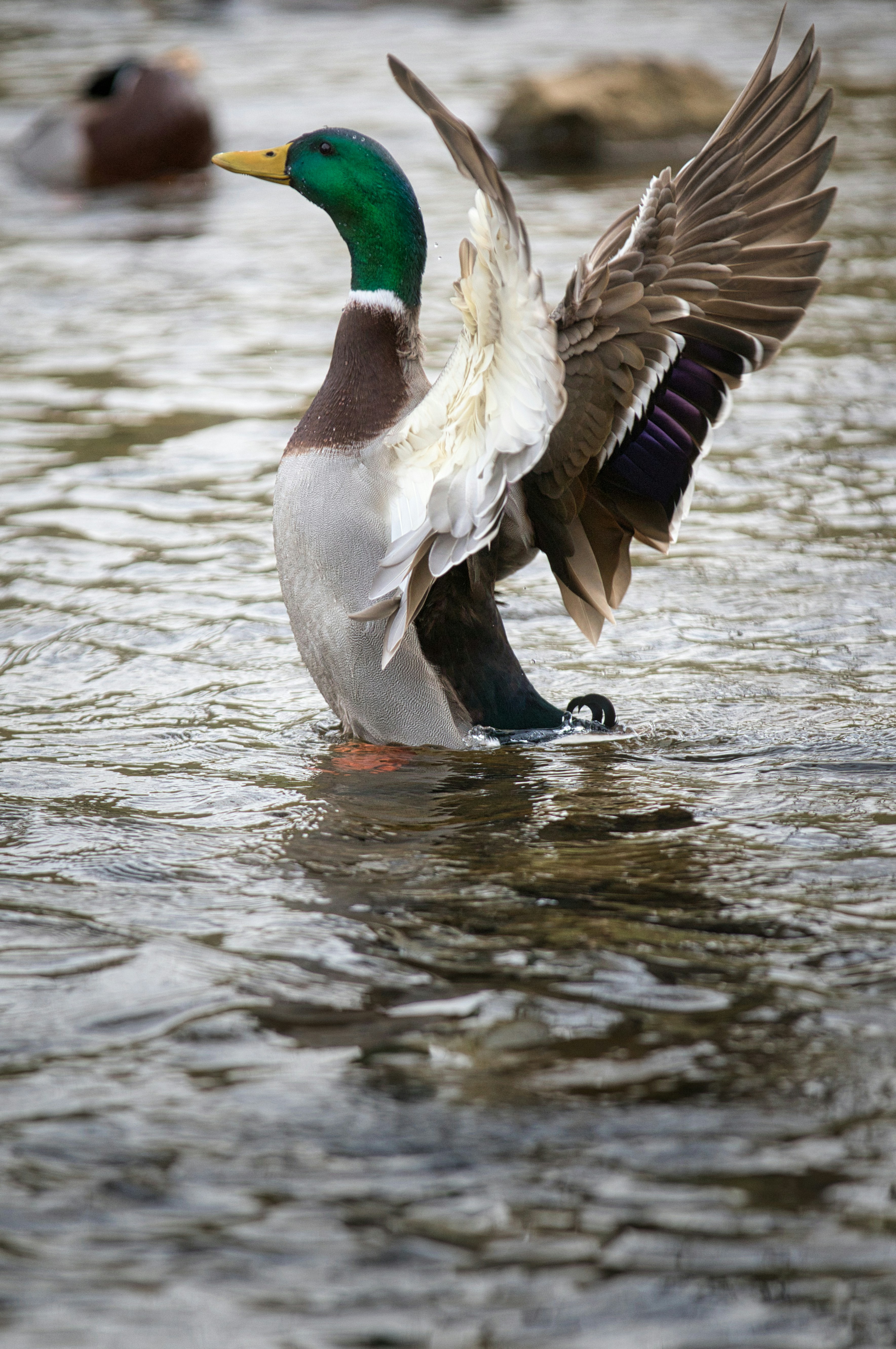 exterior surface preparation
