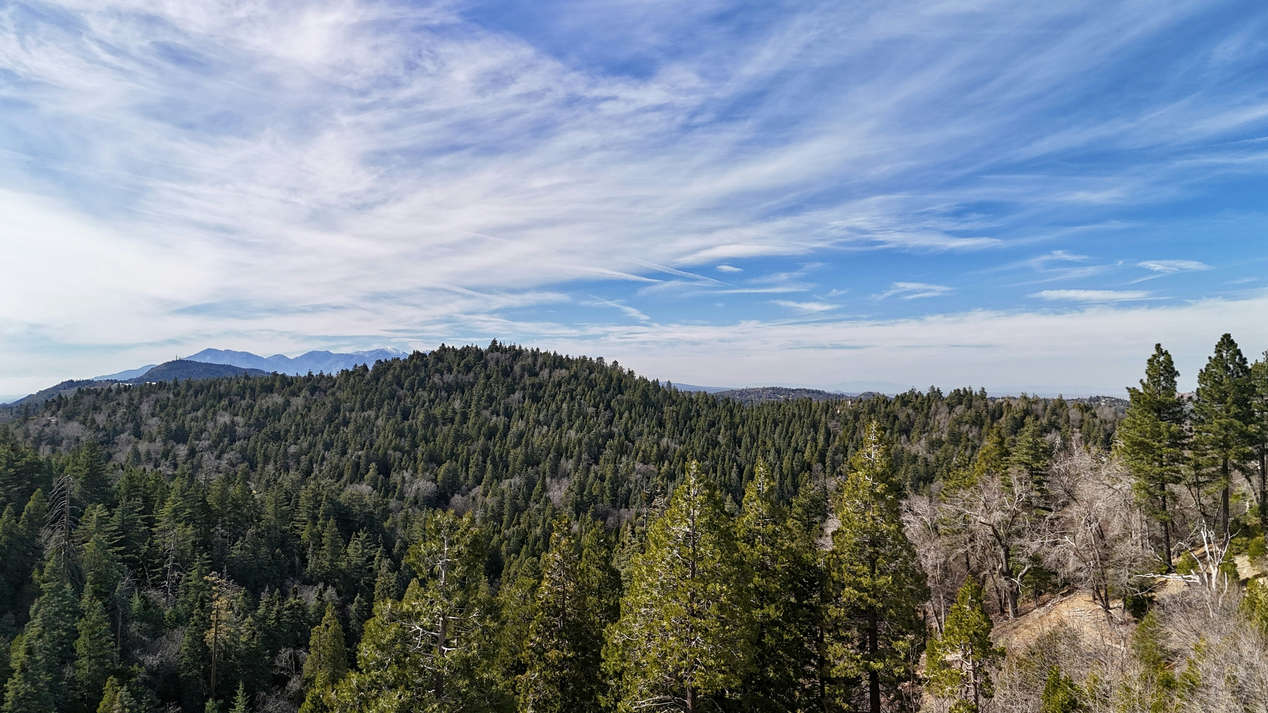 Arrowhead Park