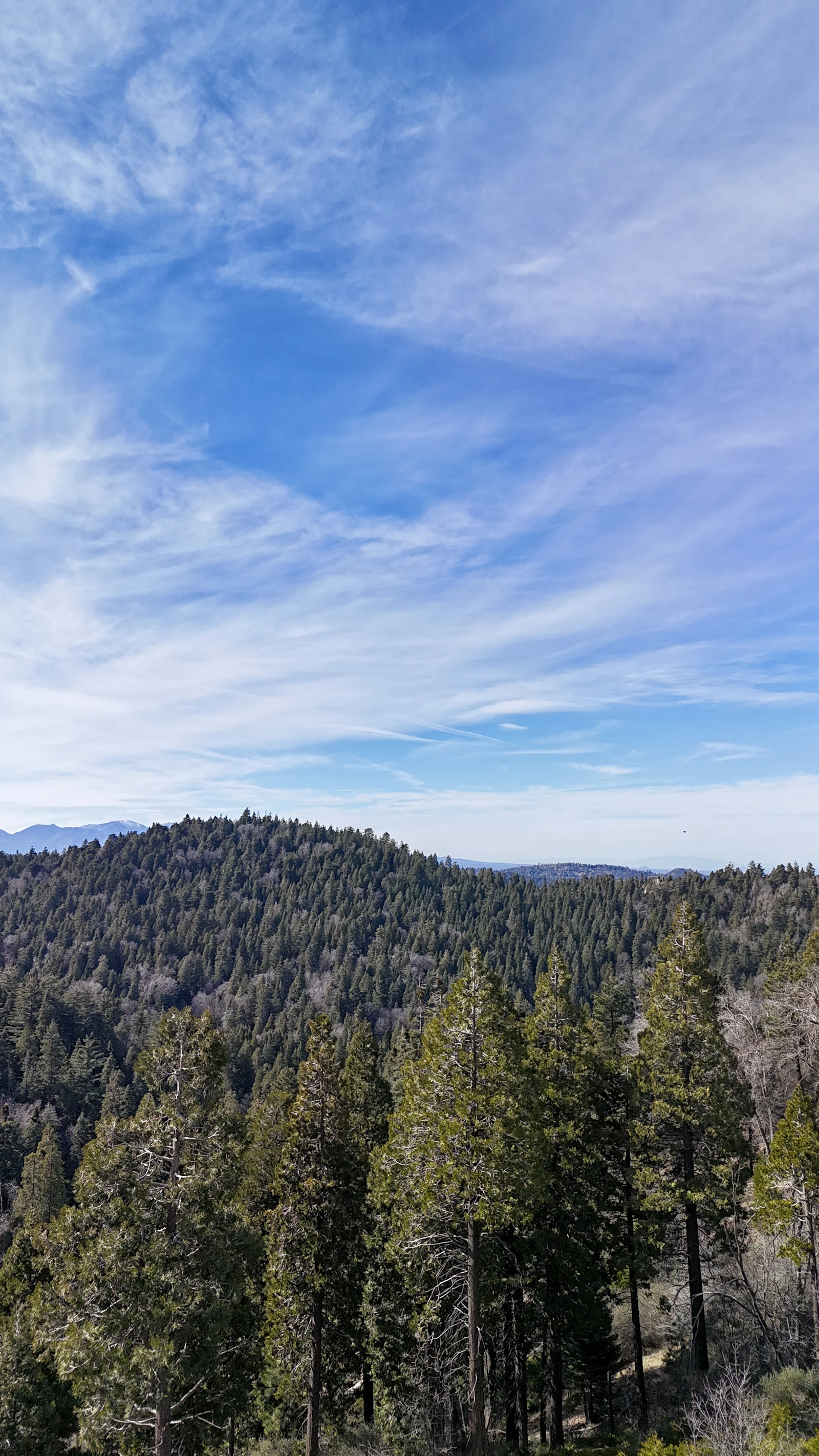 Will Hardening Your Nevada County Home Actually Lower Your Insurance?