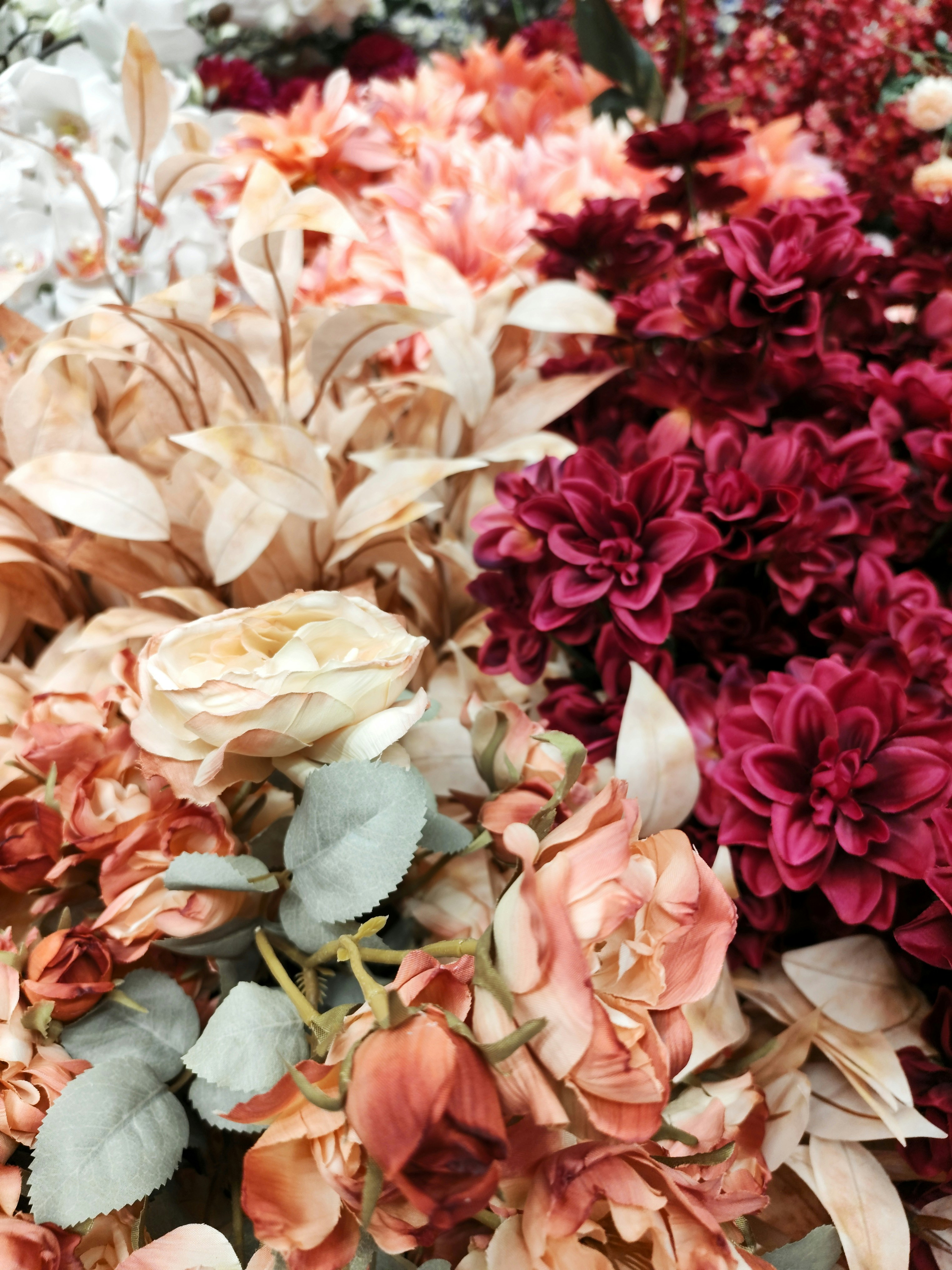 Photo by peter_maged89