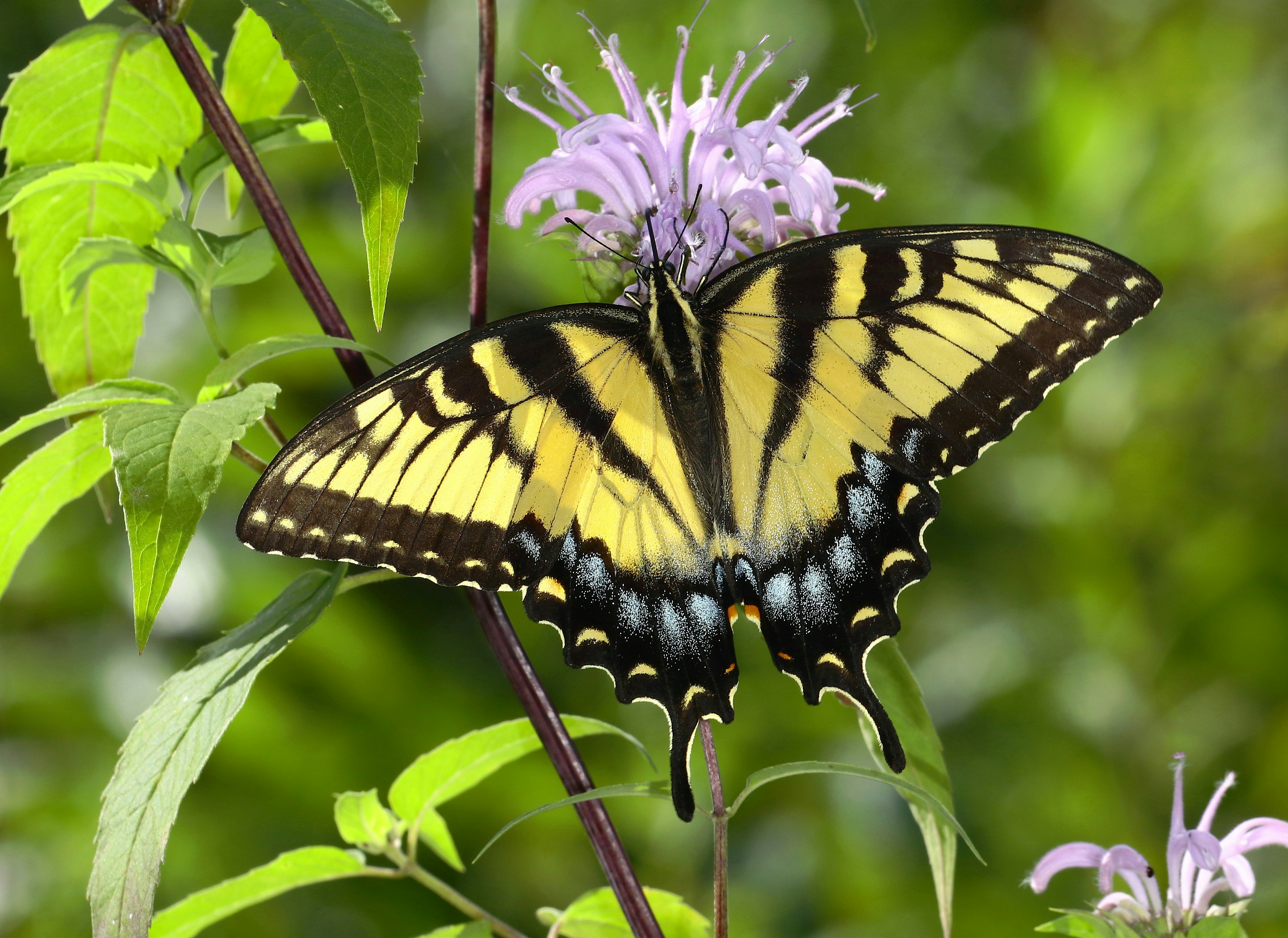 Photo by telliottmbamsc