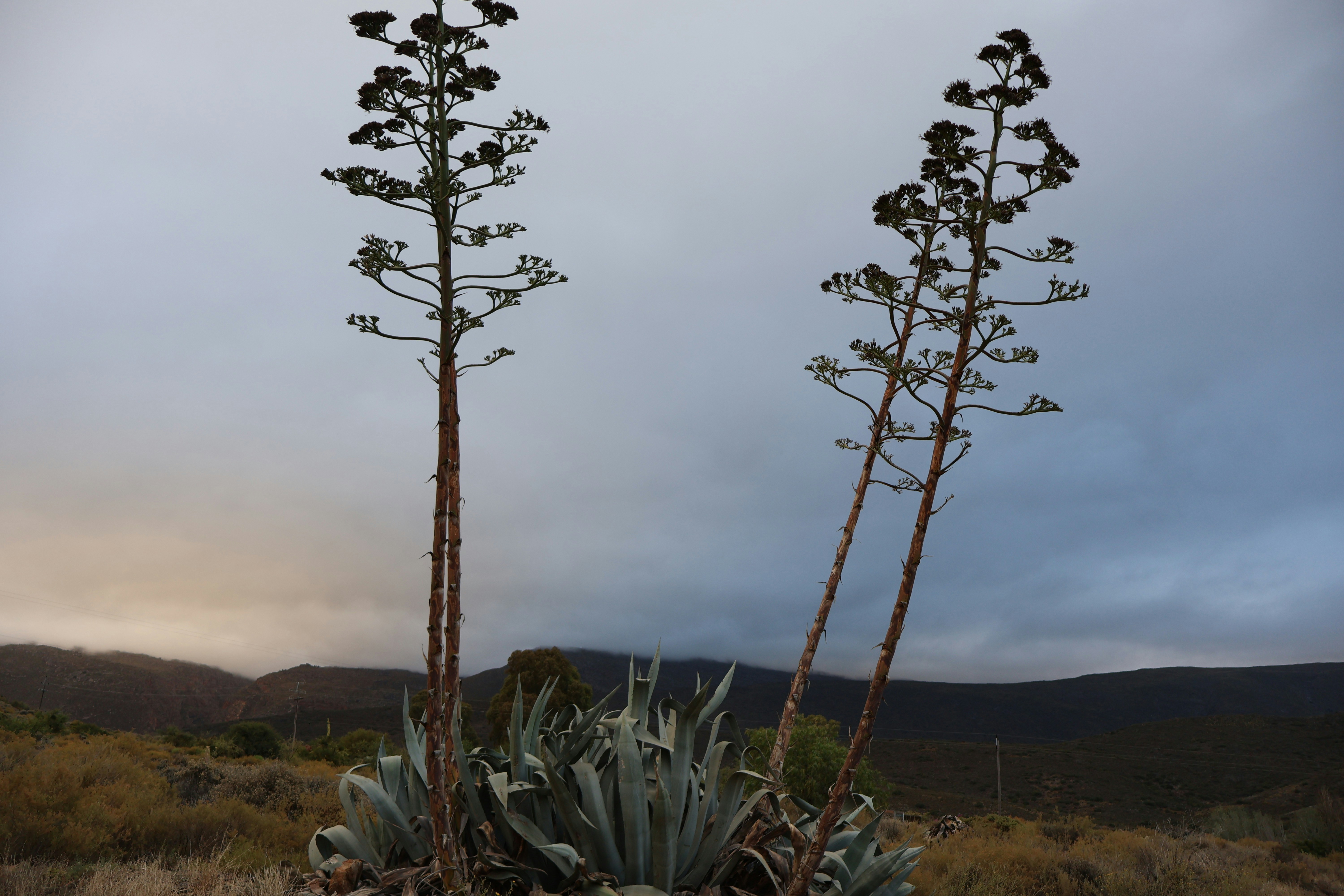 Photo by asphotography220