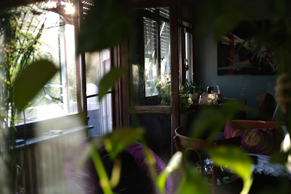 Sunlight streaming into a room with houseplants