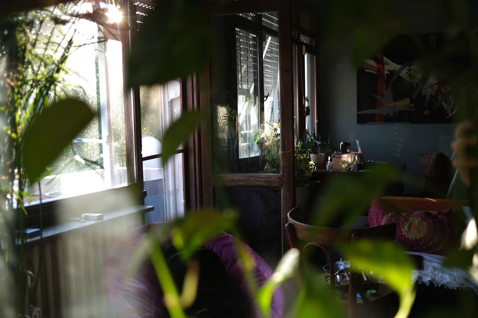 Calm sunlit room