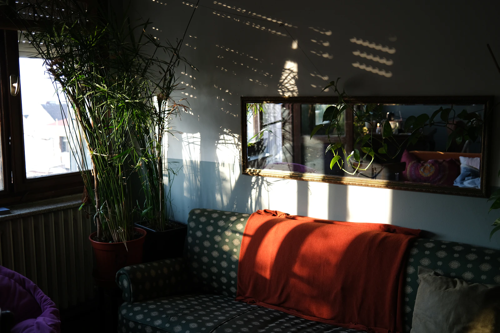 Sunlight coming through blinds onto a sofa