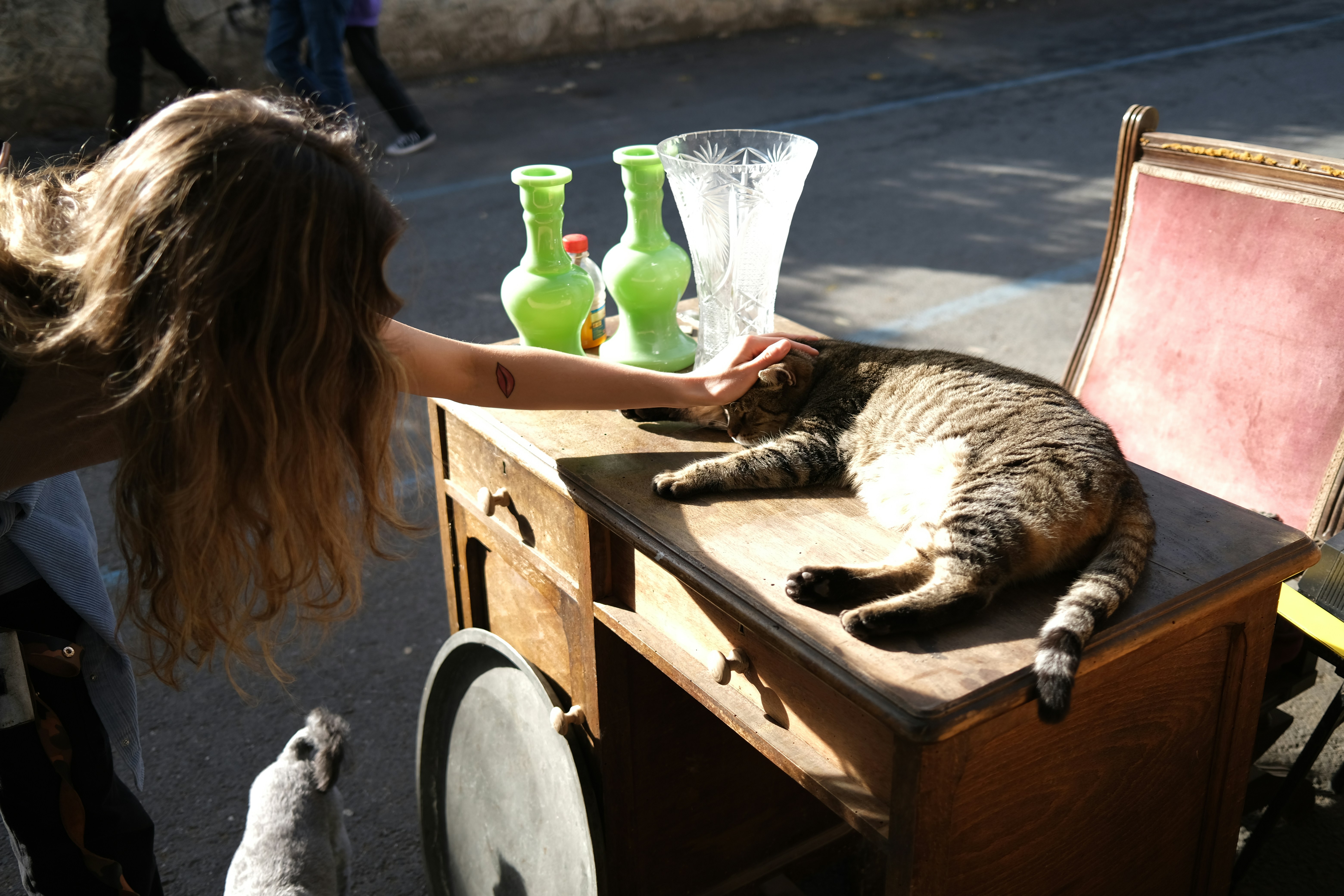Mädchen, das eine Katze auf einem Schreibtisch streichelt