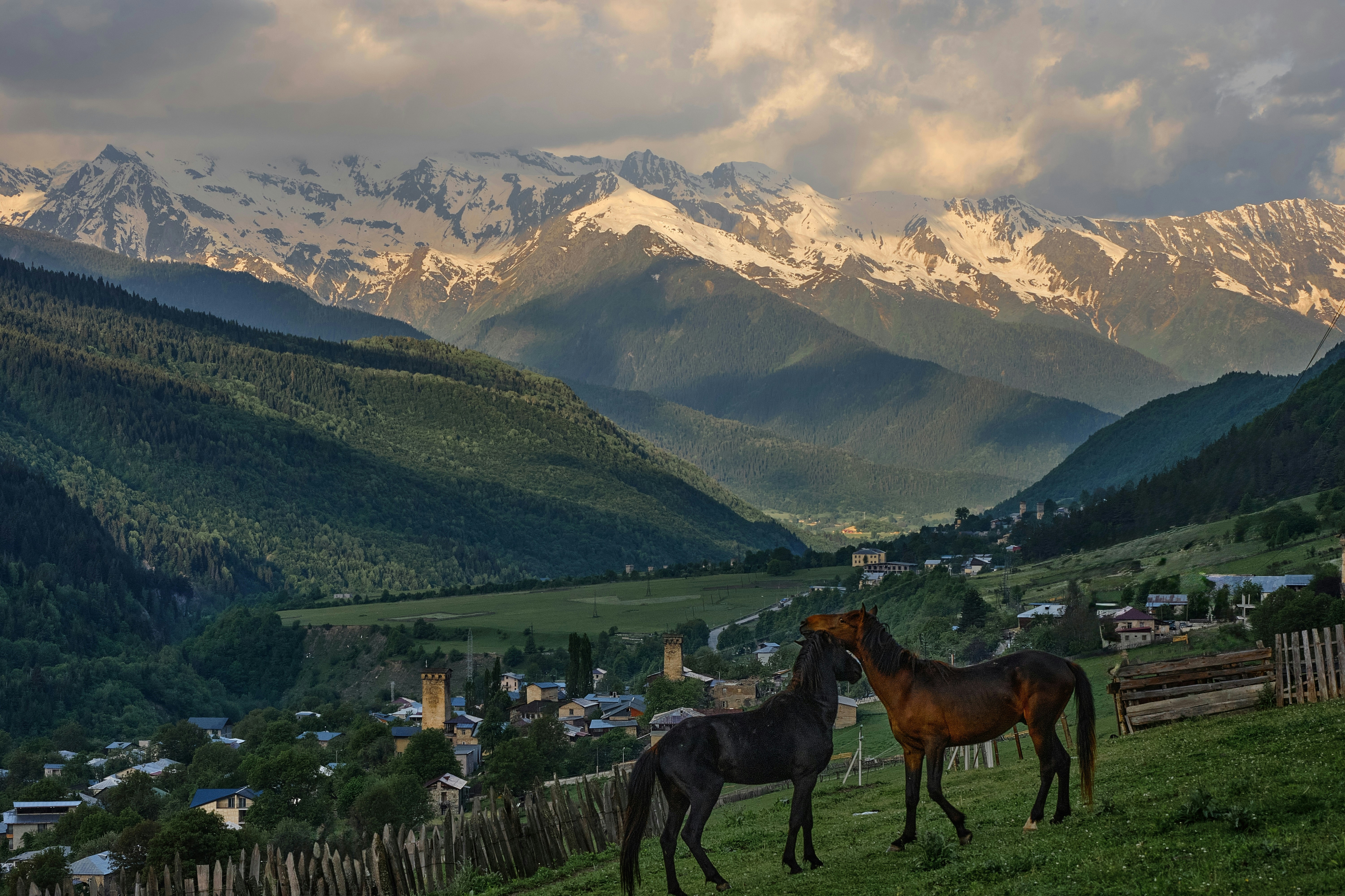 Svaneti's Scenery, Georgia - None