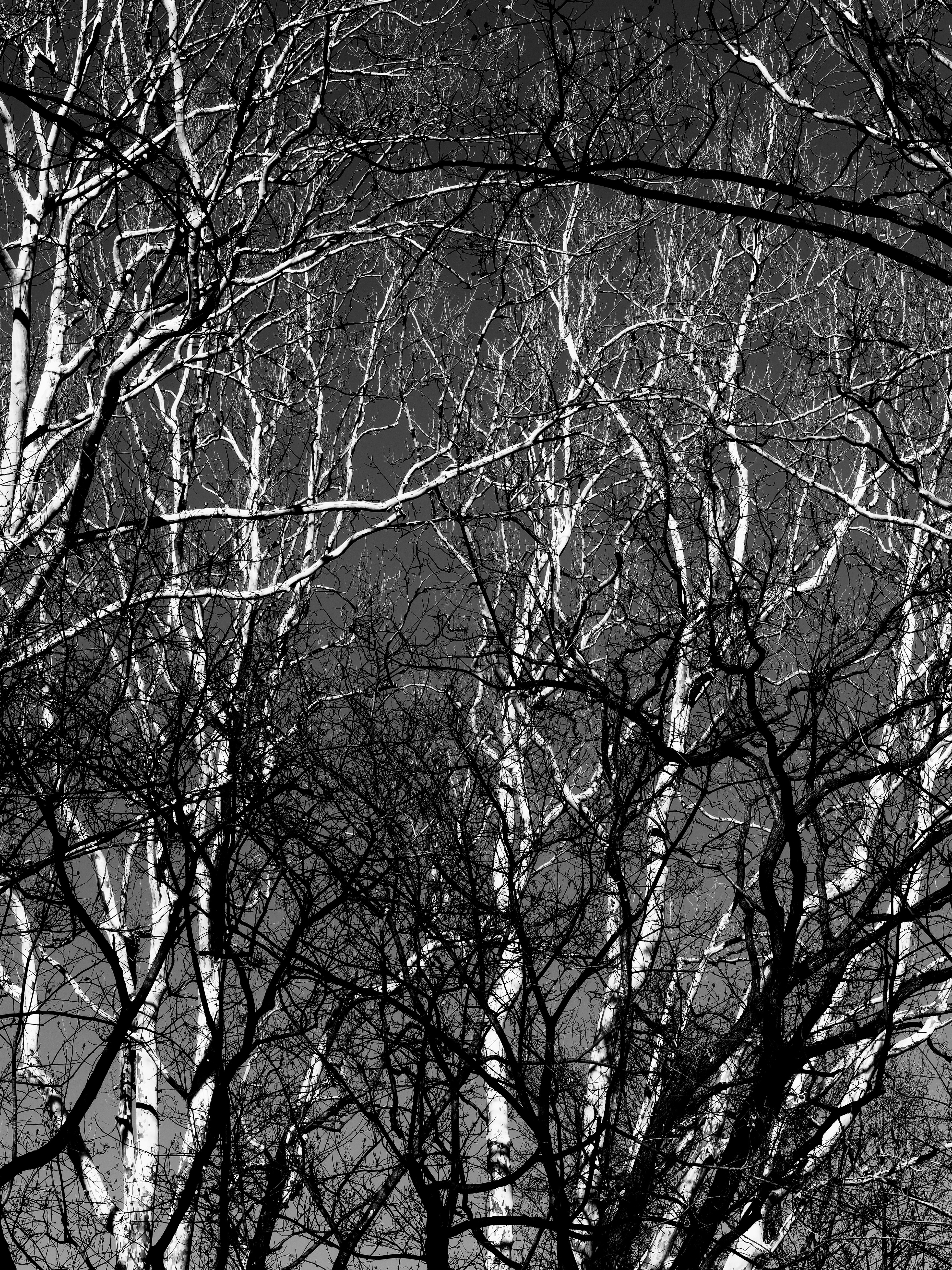 Photo by sschusterphotoart