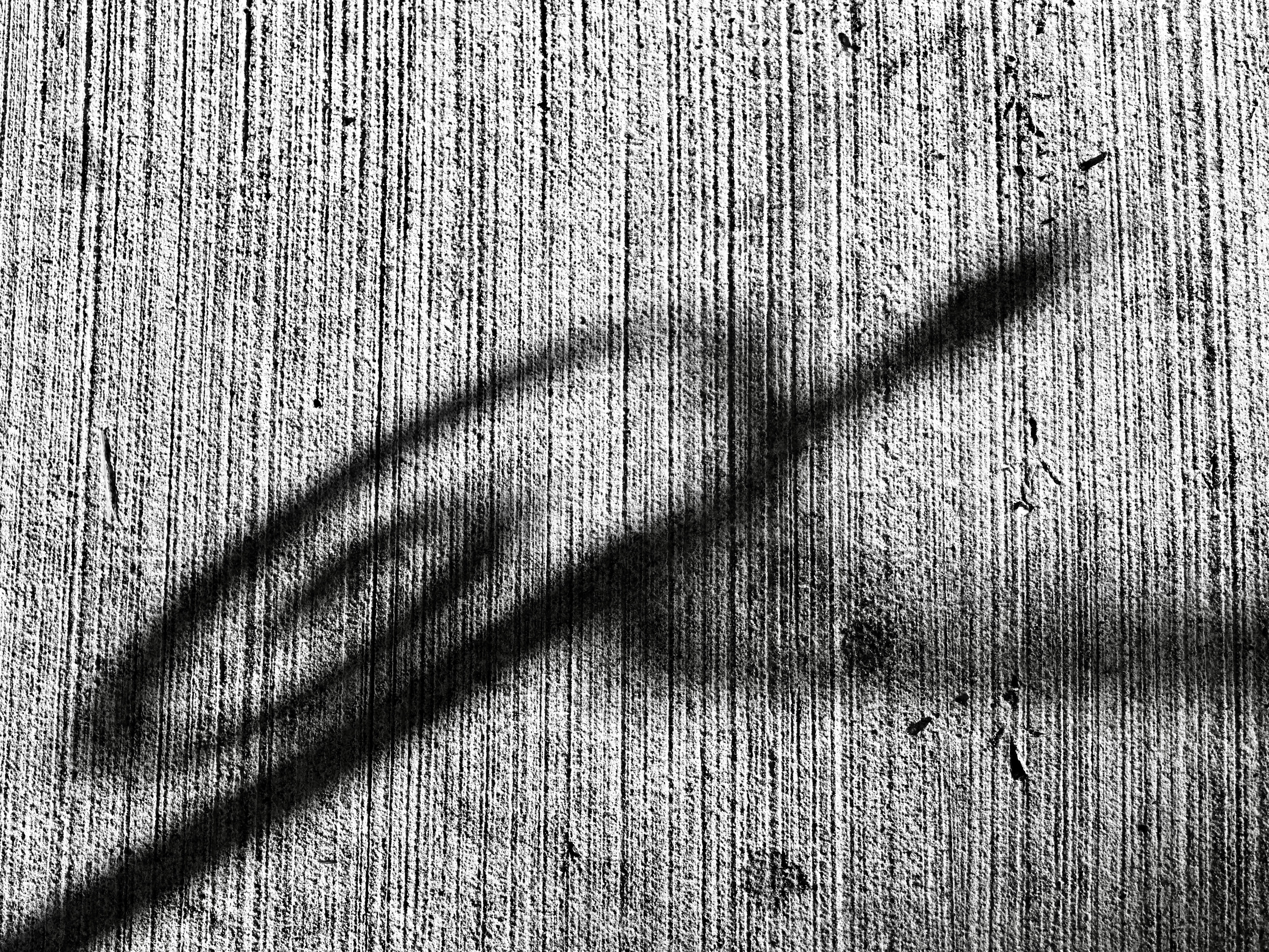 Photo by sschusterphotoart