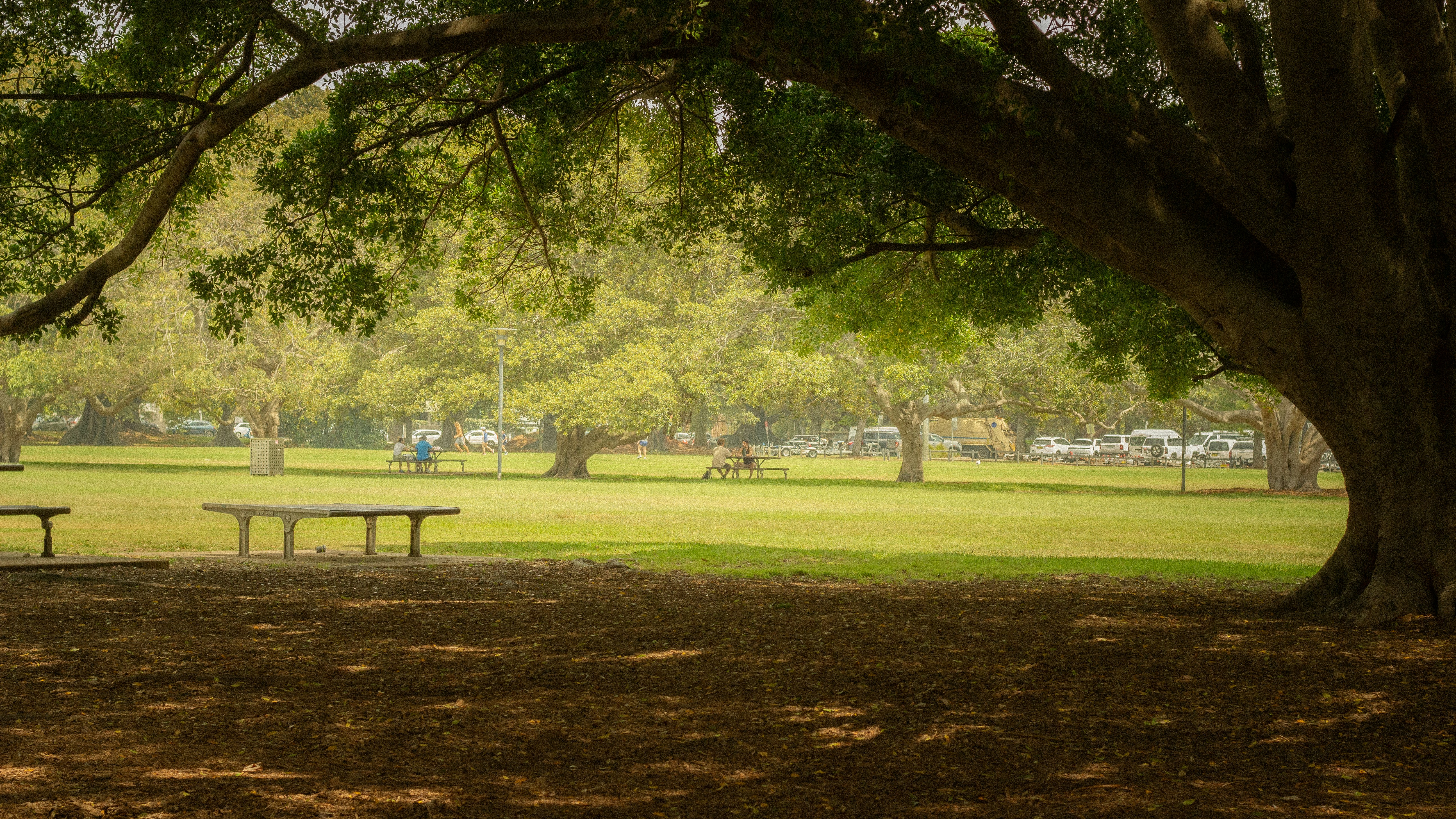 Photo by angie_baongoc