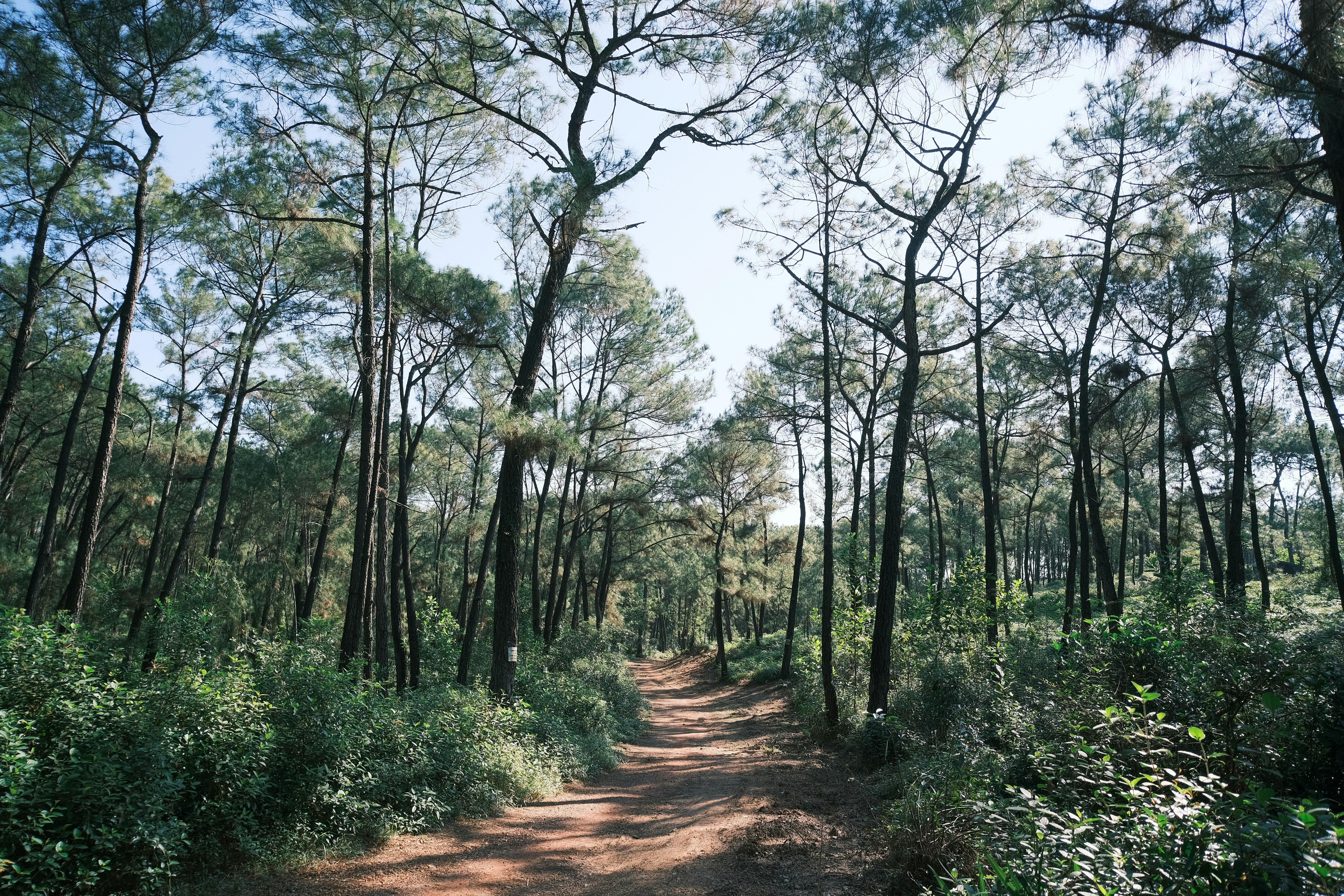 Photo by tutrananh109