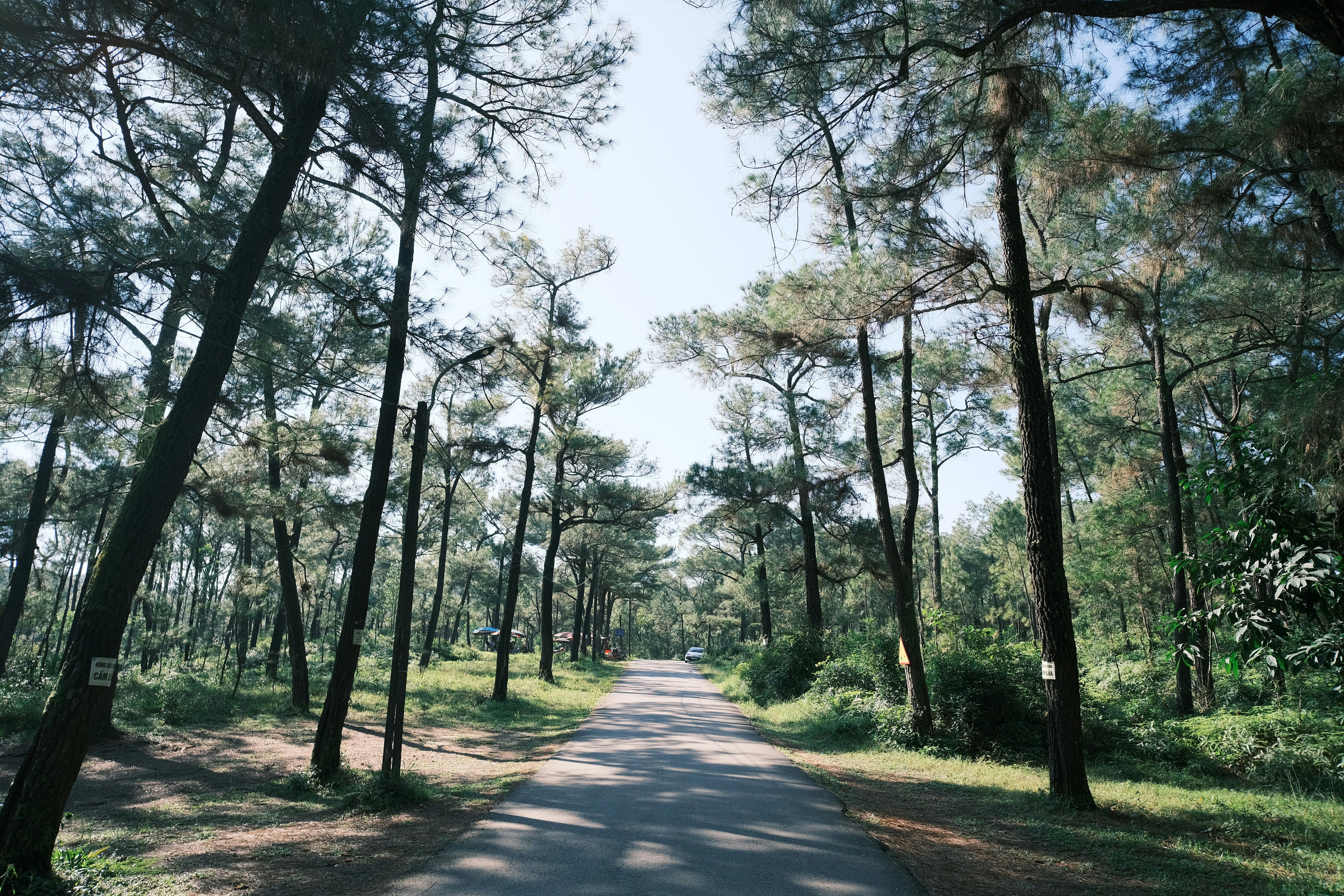 Photo by tutrananh109