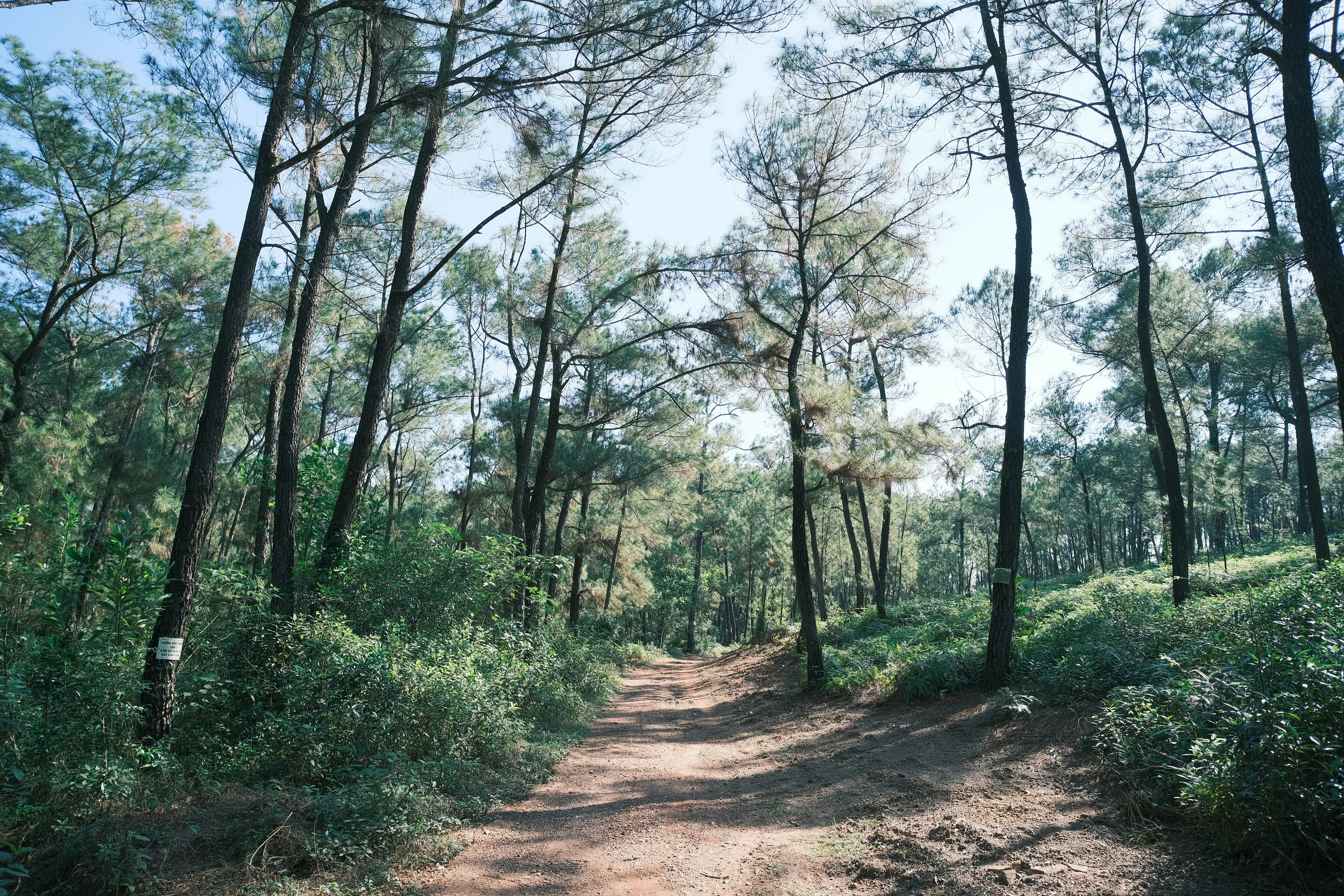 Photo by tutrananh109