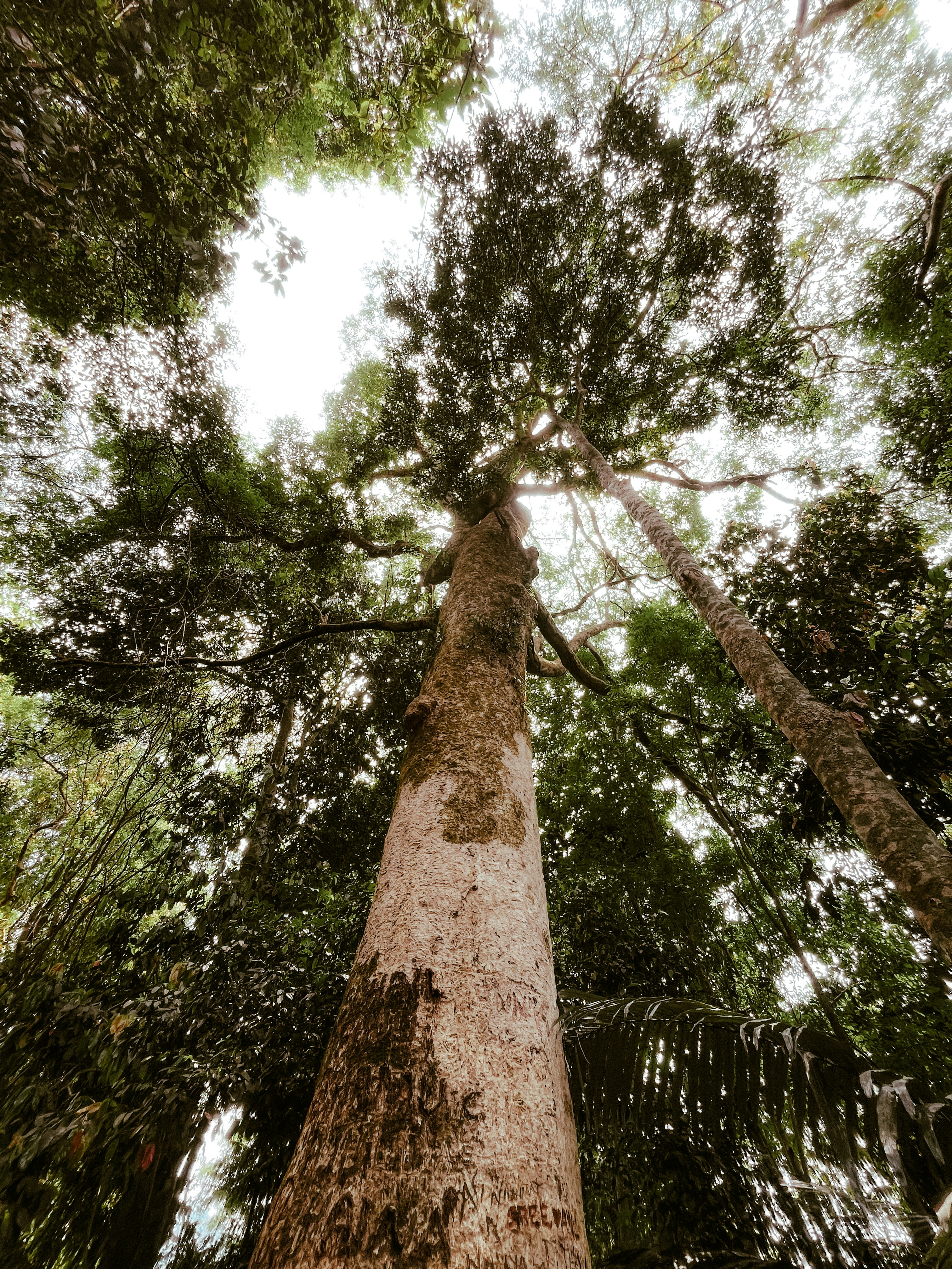 Photo by abhinandbijeesh