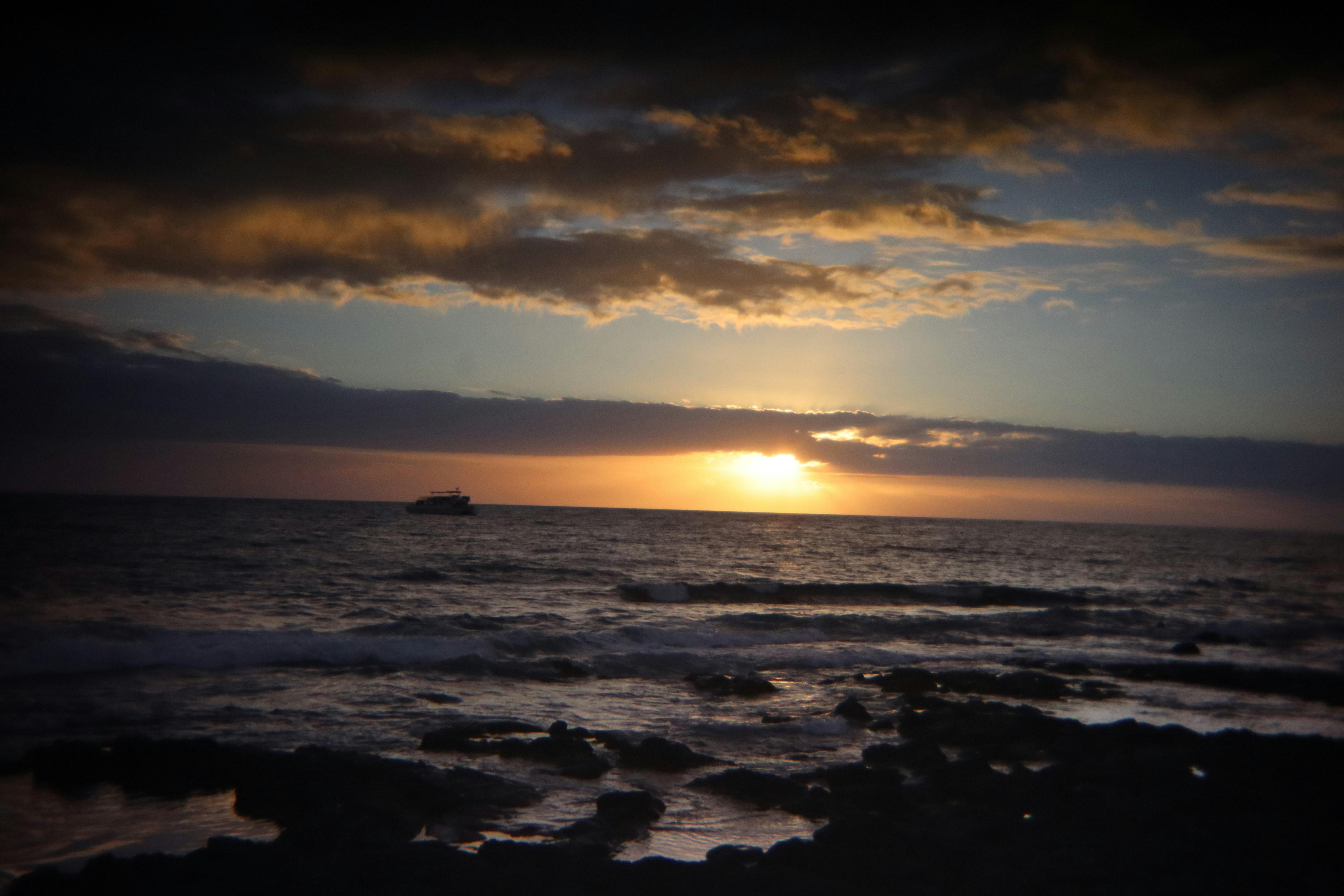 Photo by splashylammb8205