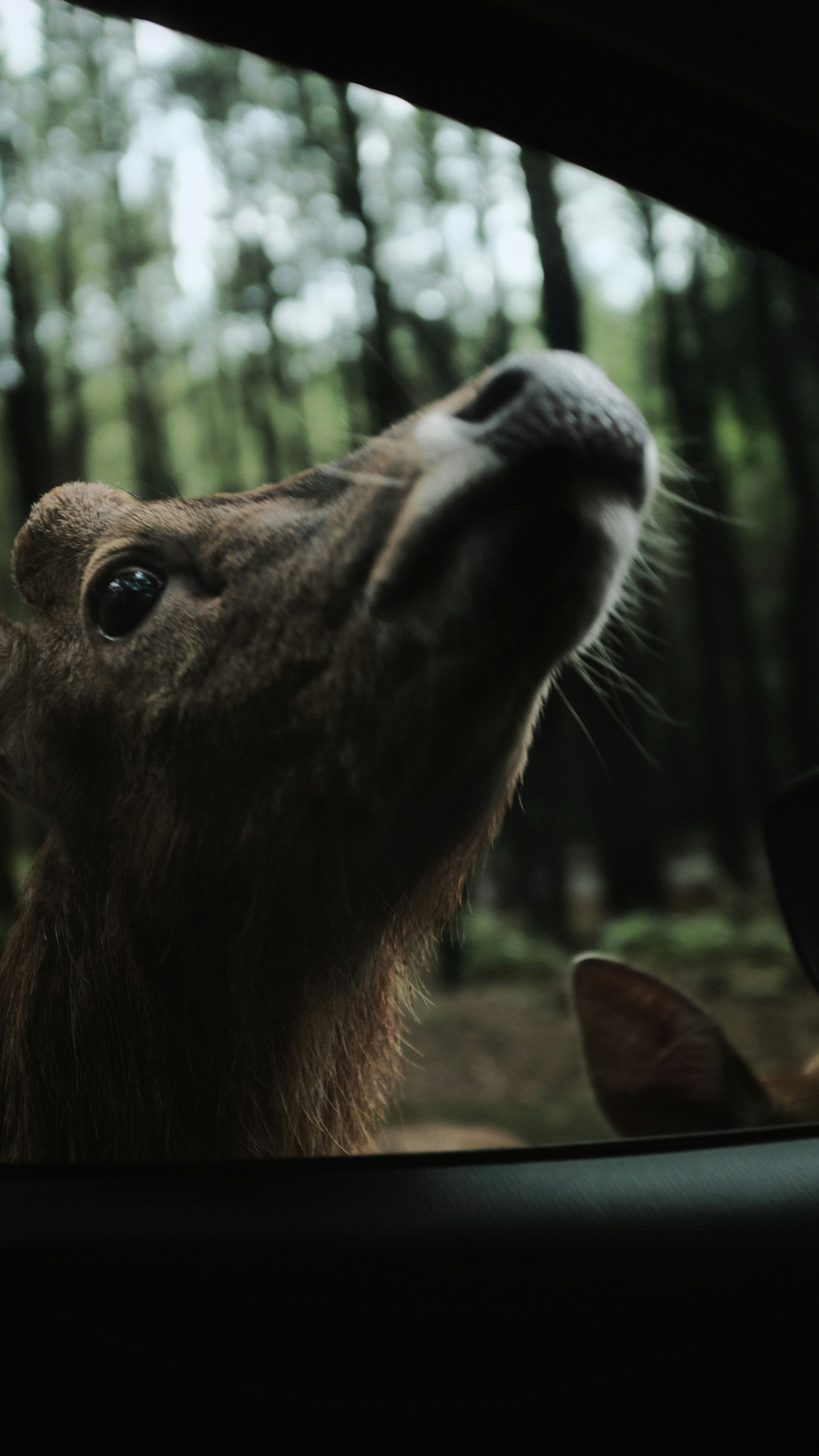 Photo by edikurniawan