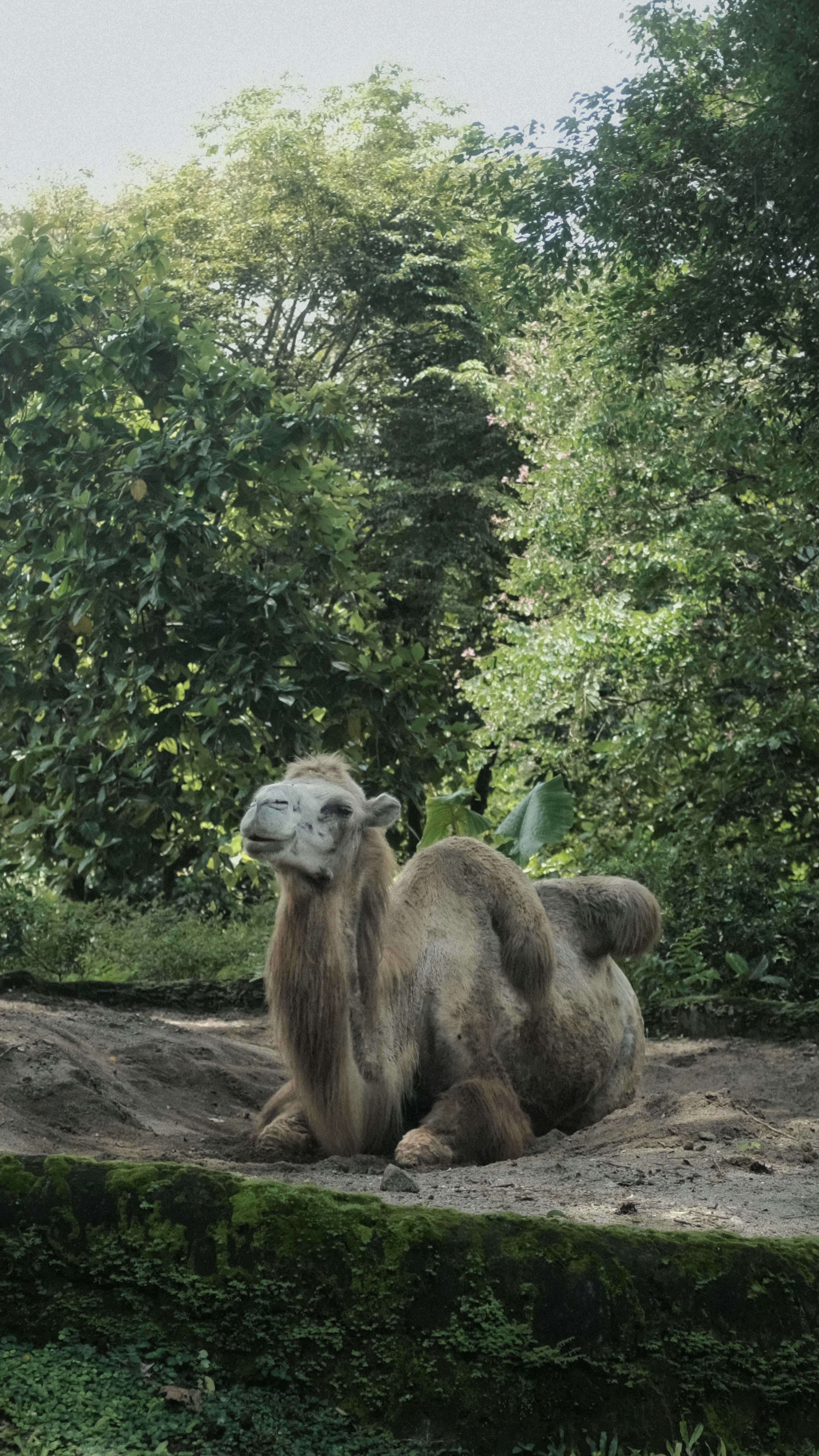 Photo by edikurniawan