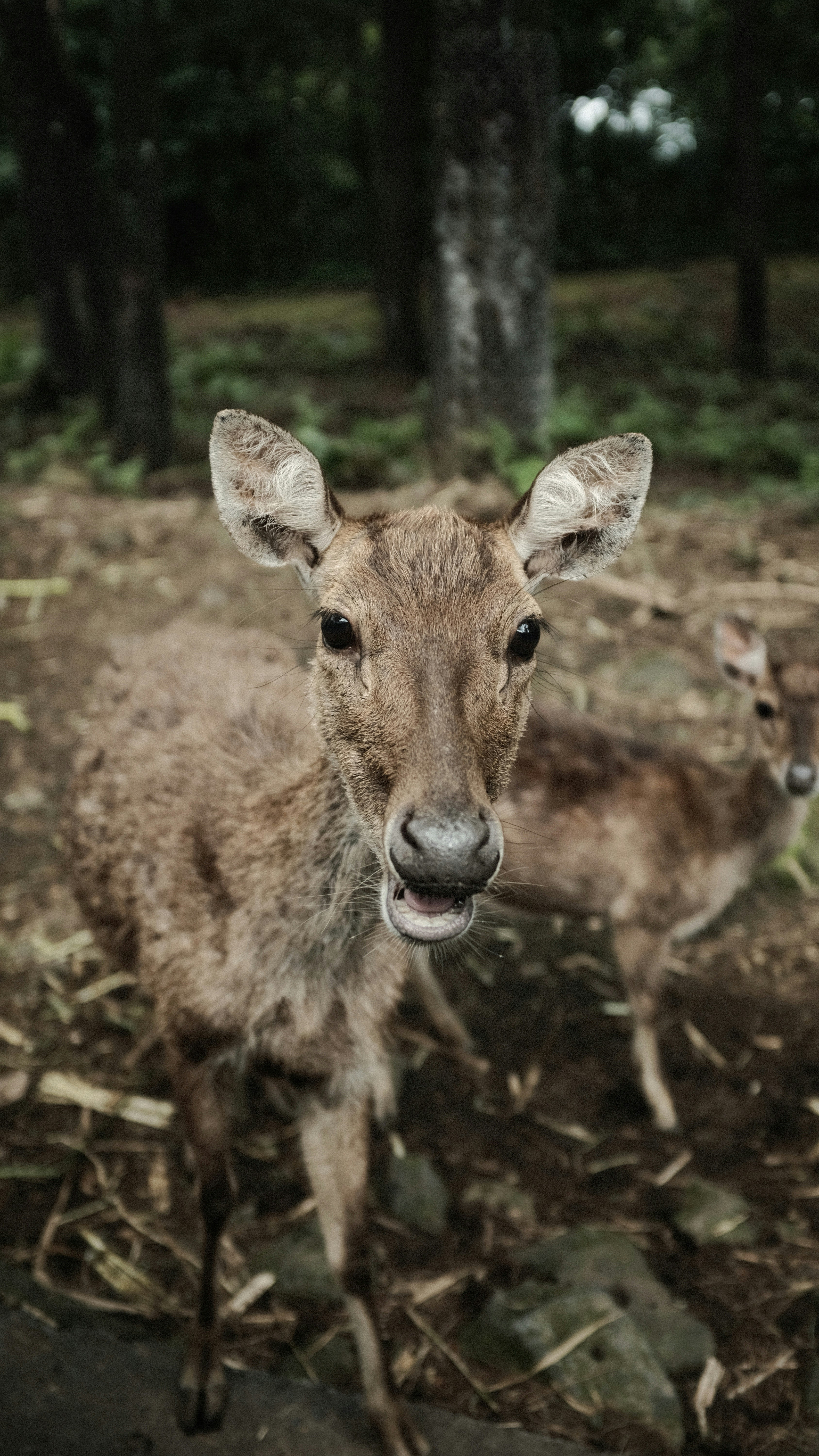 Photo by edikurniawan