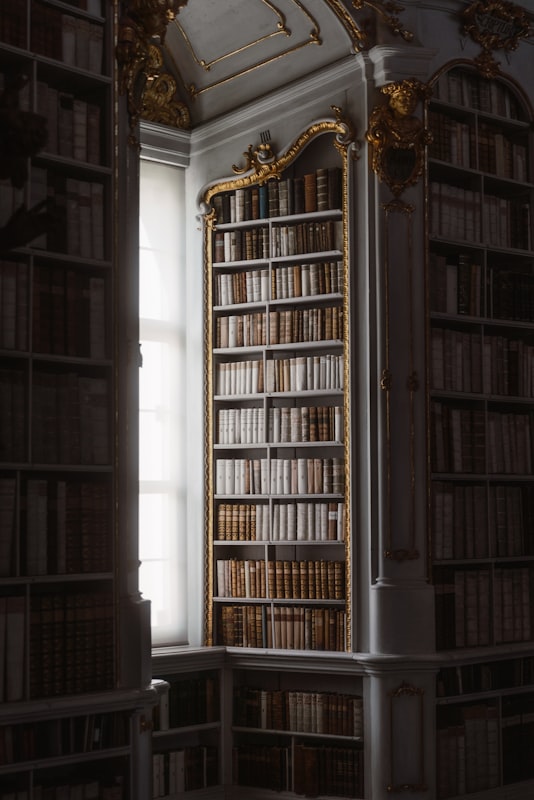 Home Library with Custom Shelving