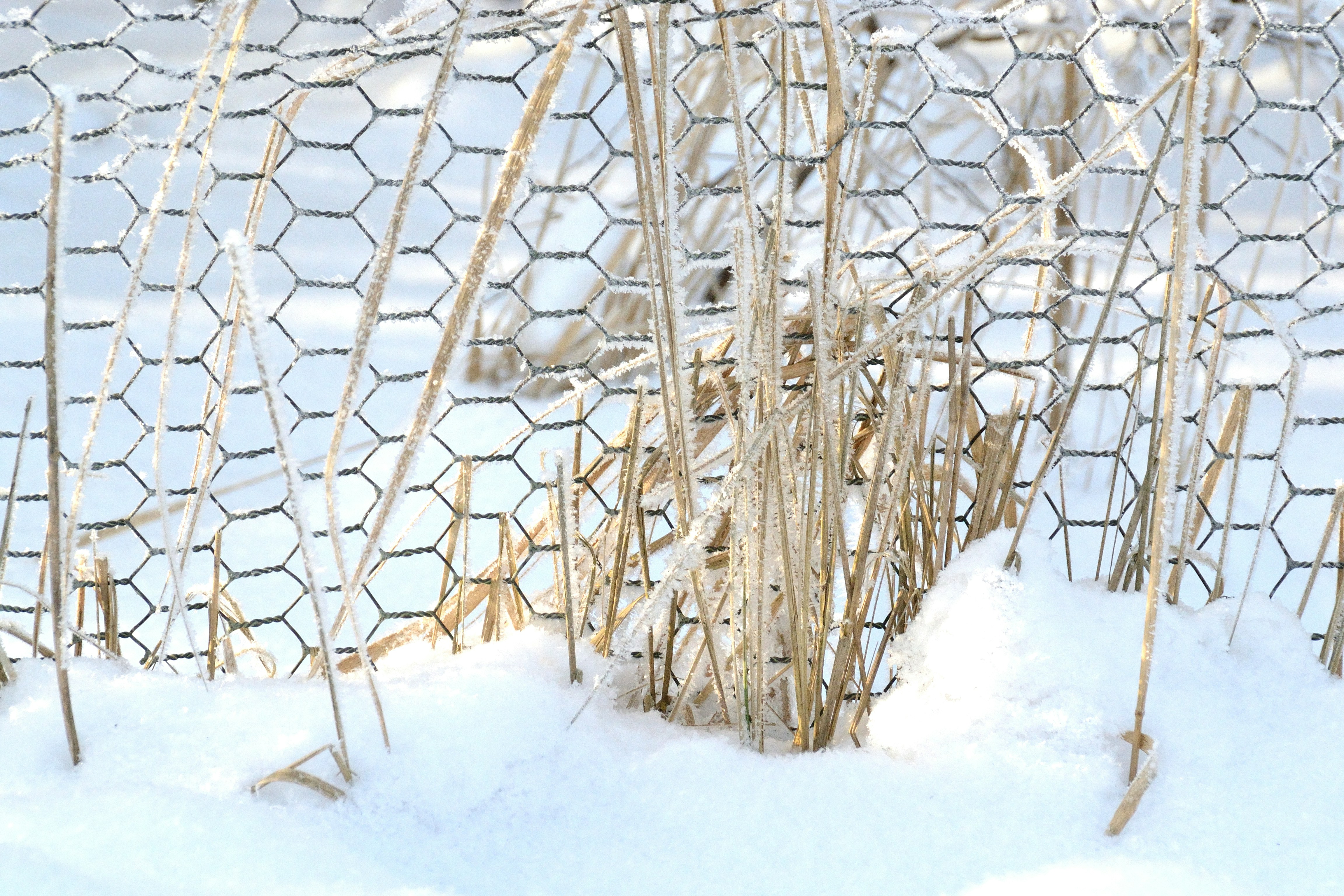 icy metal texture, wallpaper, Avoid Frostbite: Handling Metal Gear in Cold Weather 5