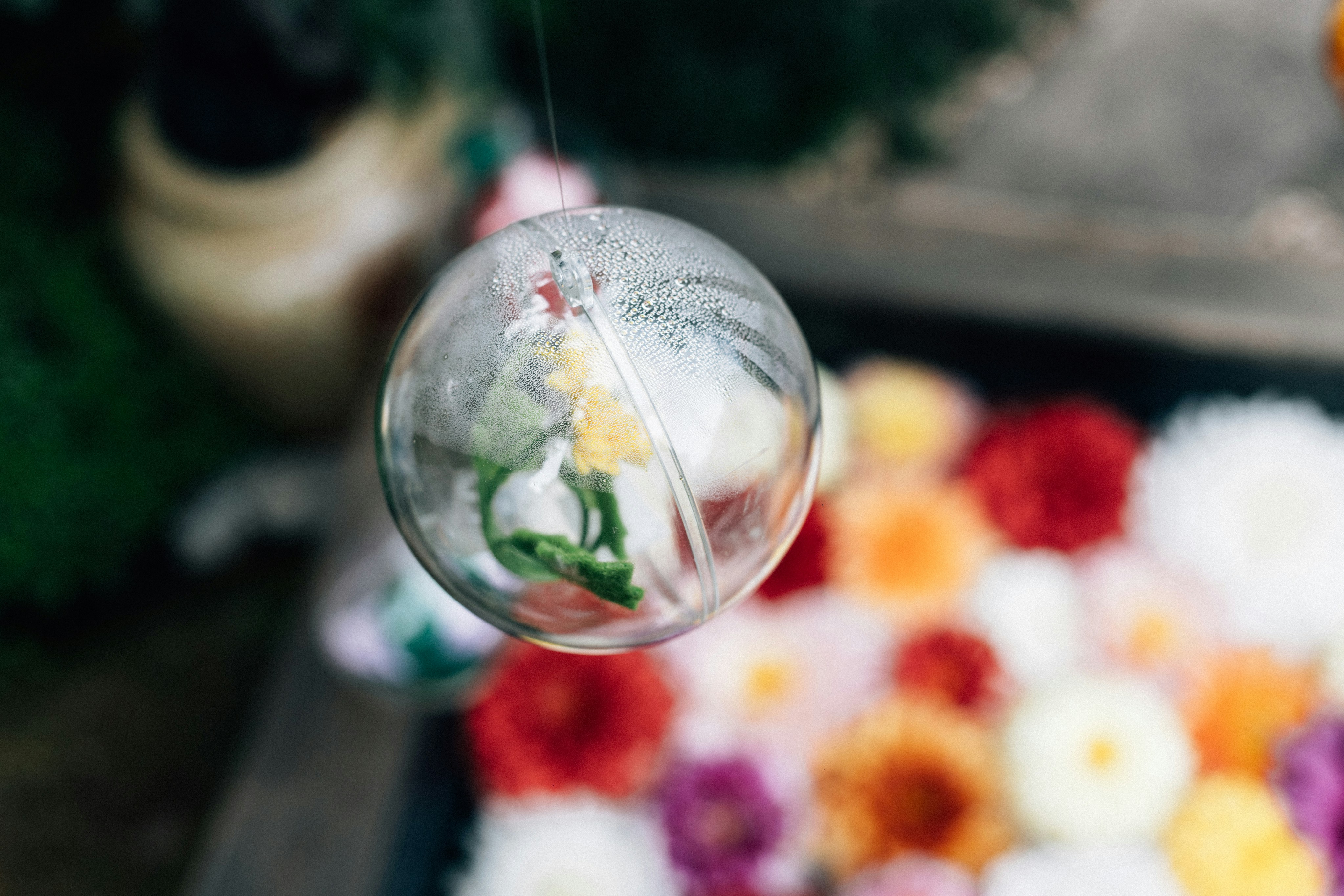 Photo by tsuyoshikozu