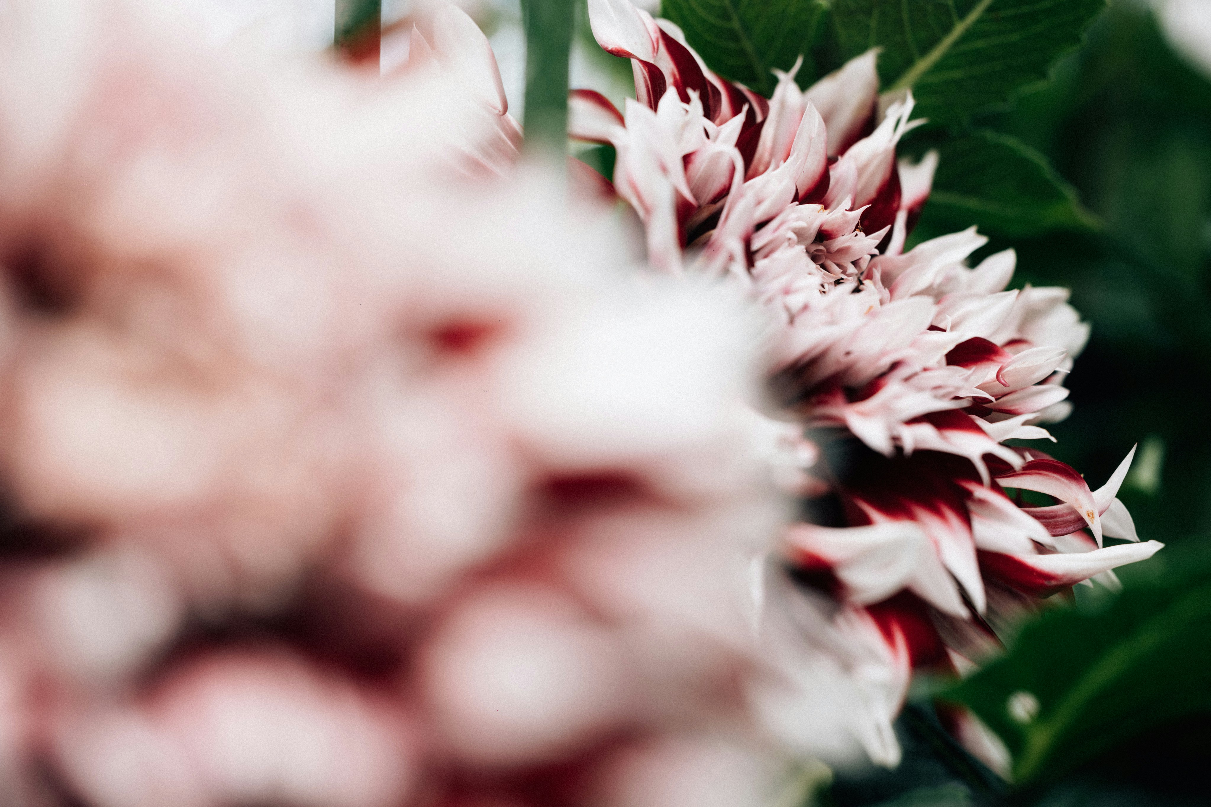 Photo by tsuyoshikozu