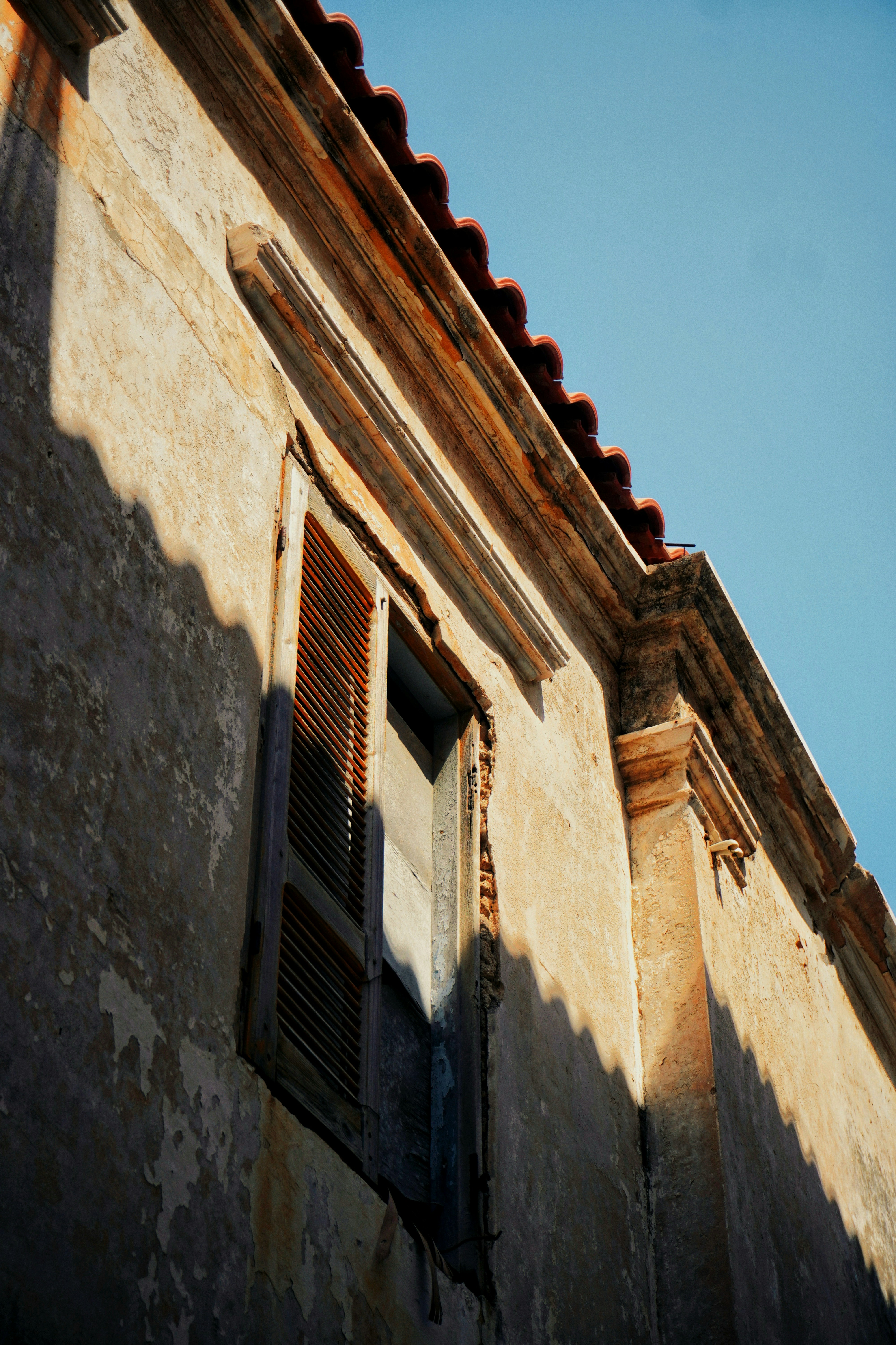 Photo by alettadnagy