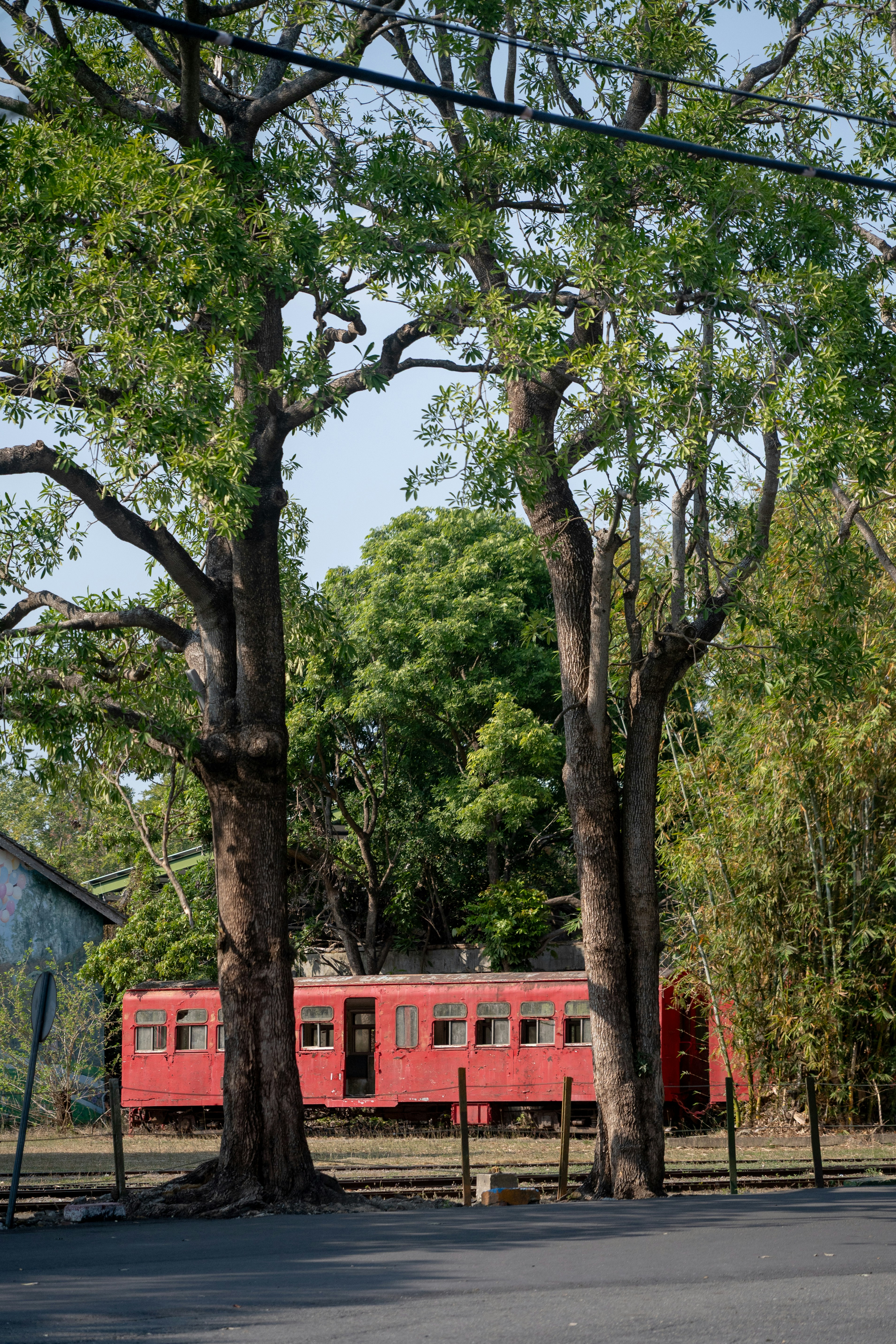 A vintage red train car sits between two large trees.